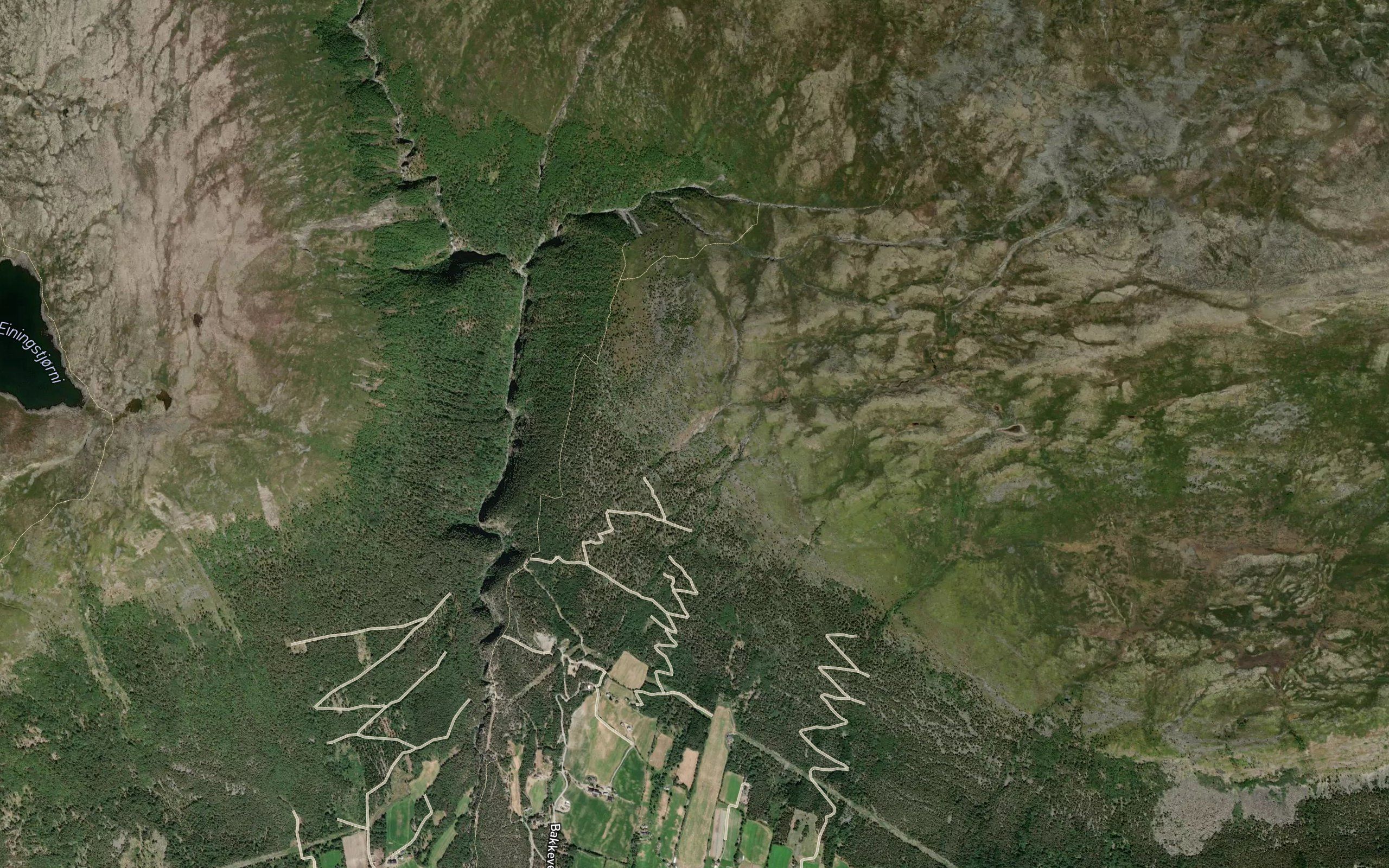 Svarttjoynne