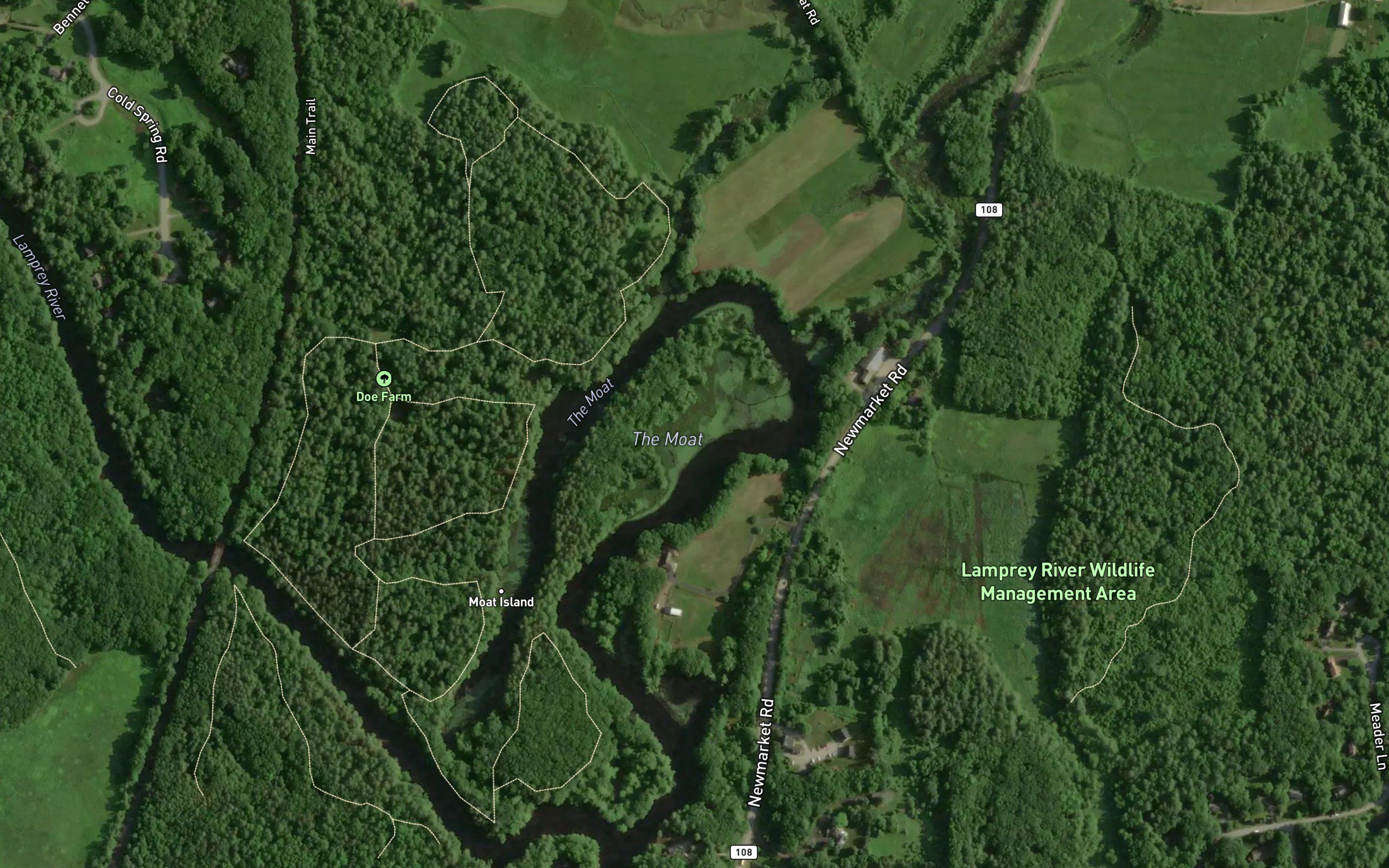 Ellison Brook