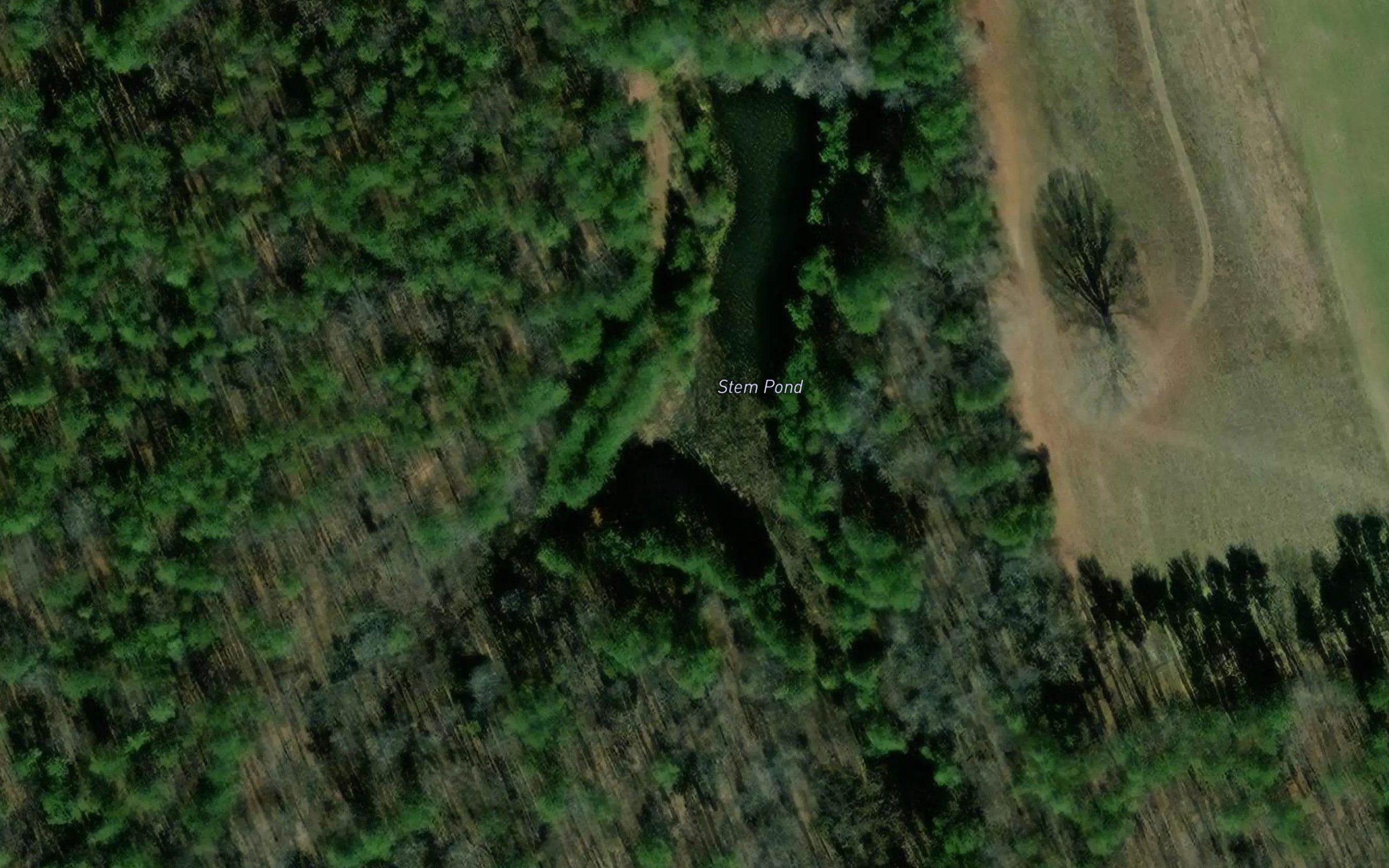 Stem Pond