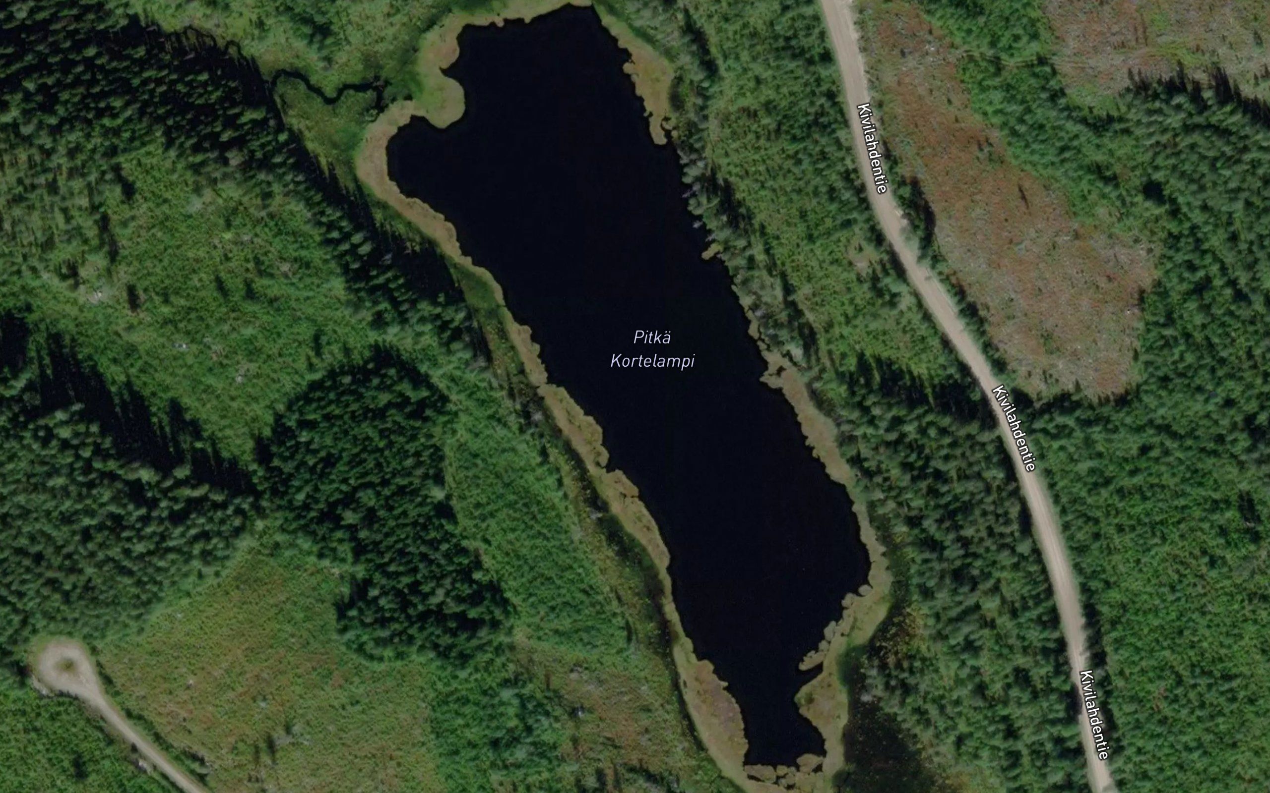 Pitka Kortelampi