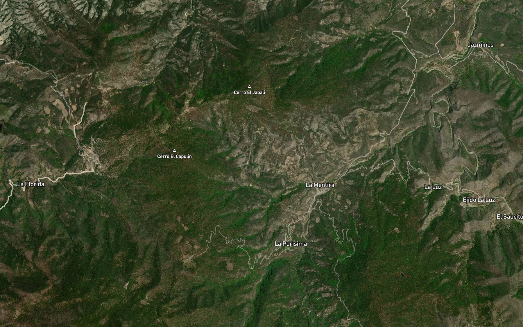 Satellite map of the La Mora
