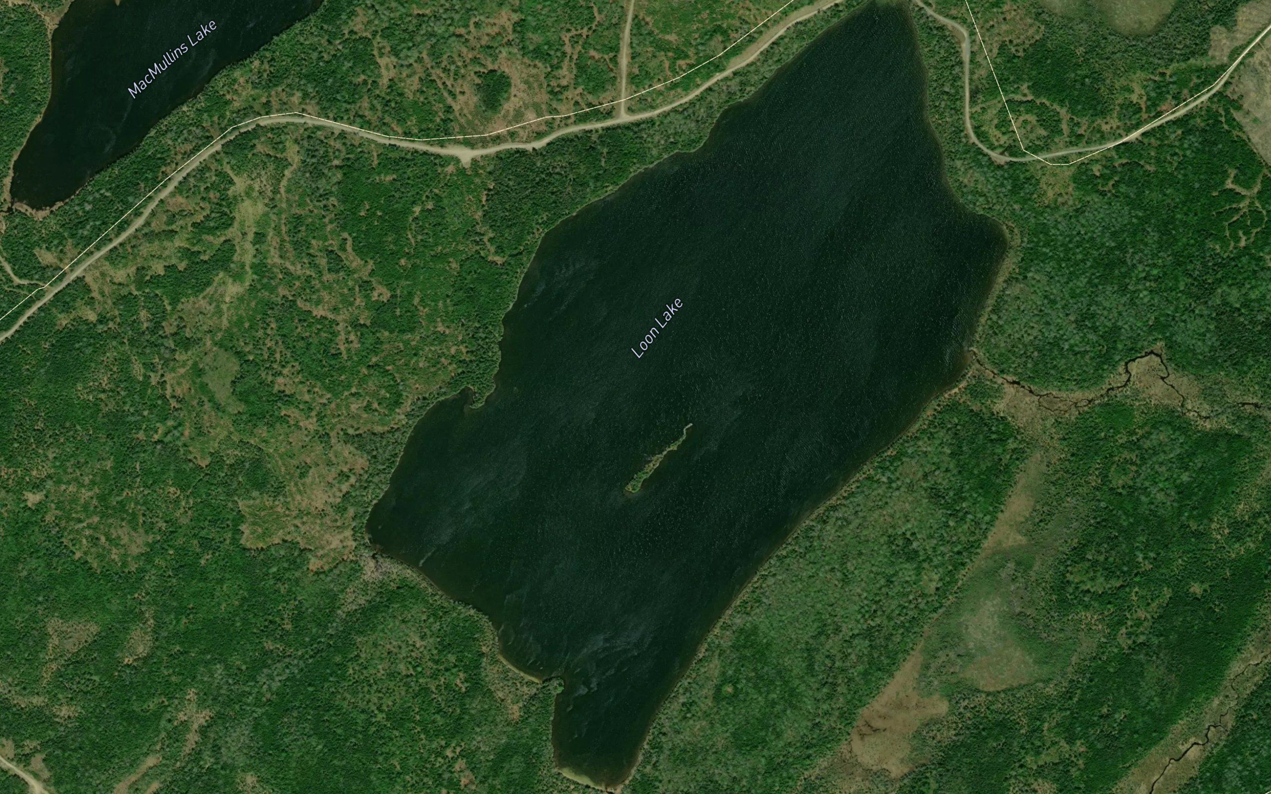 Loon Lake