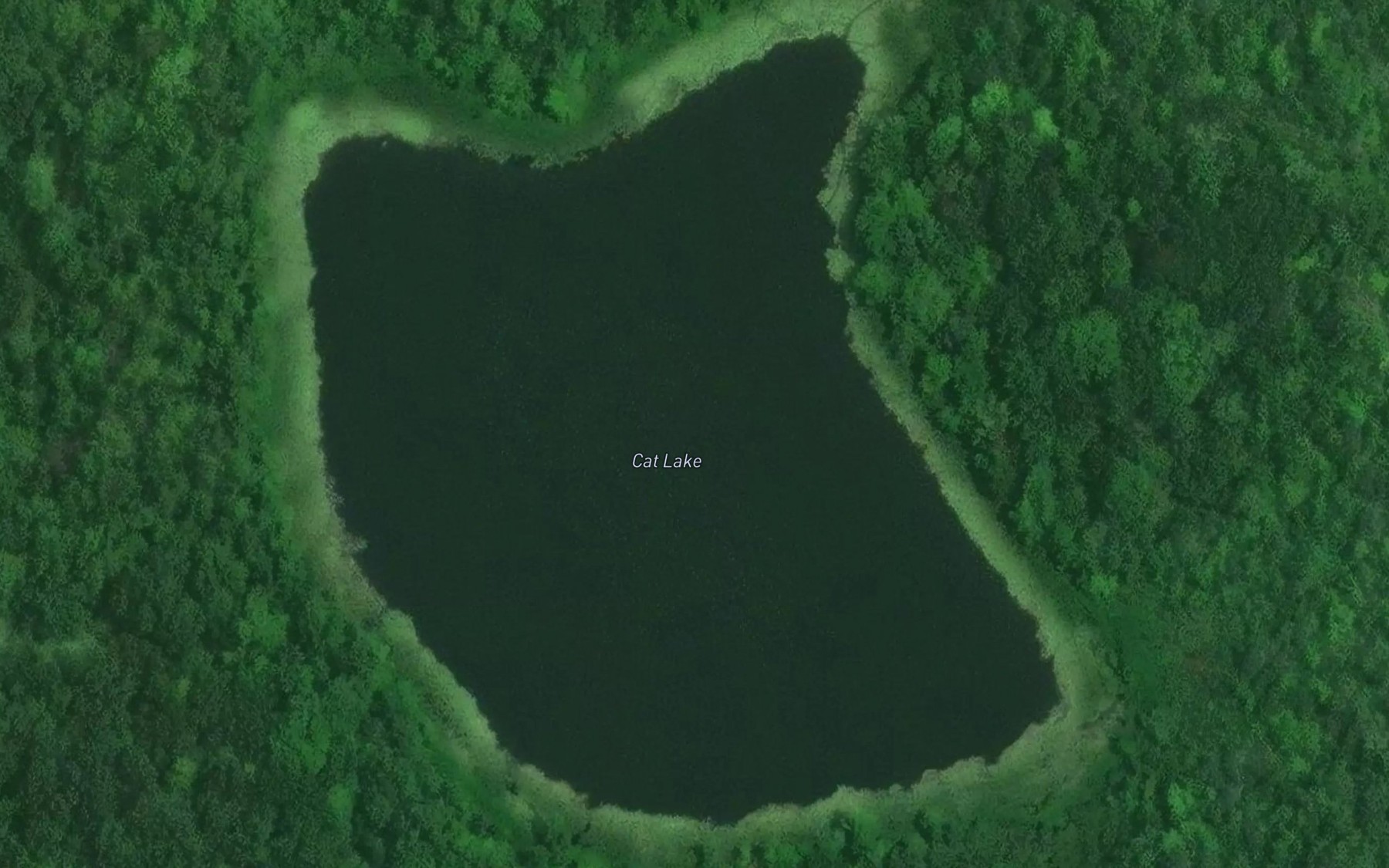 Satellite map of the Cat Lake