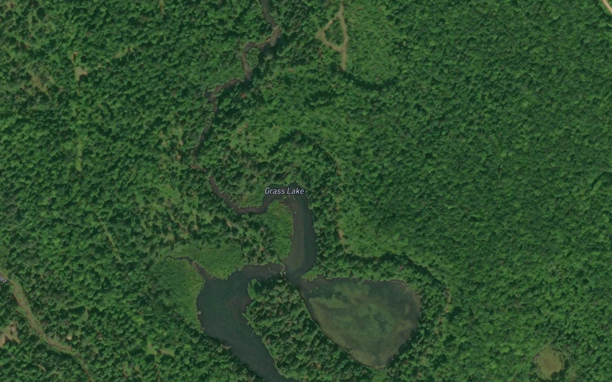 Grass Lake