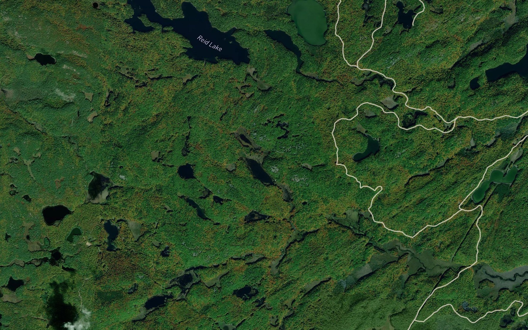 Satellite map of the Donald Lakes