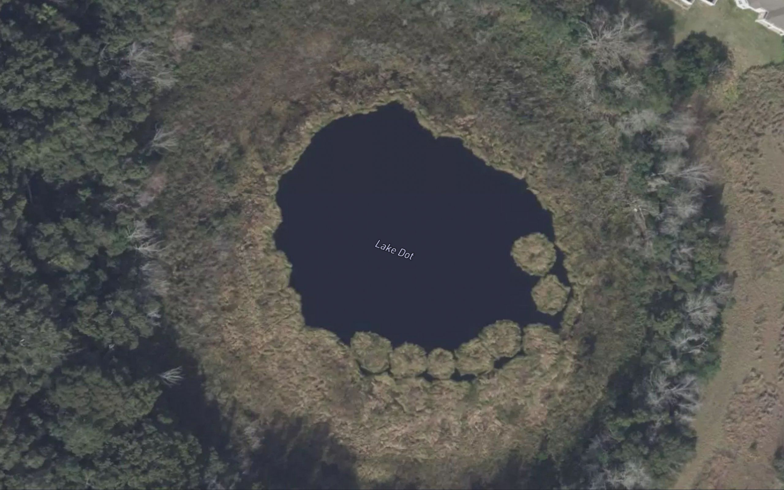 Lake Dot