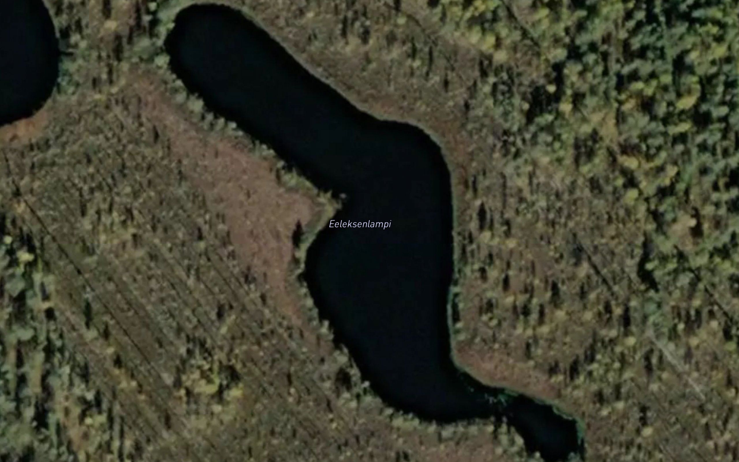Eeleksenlammit