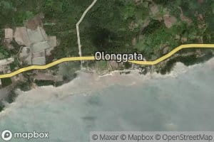 Botaonyo Olonggata