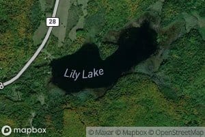 Lily Lake