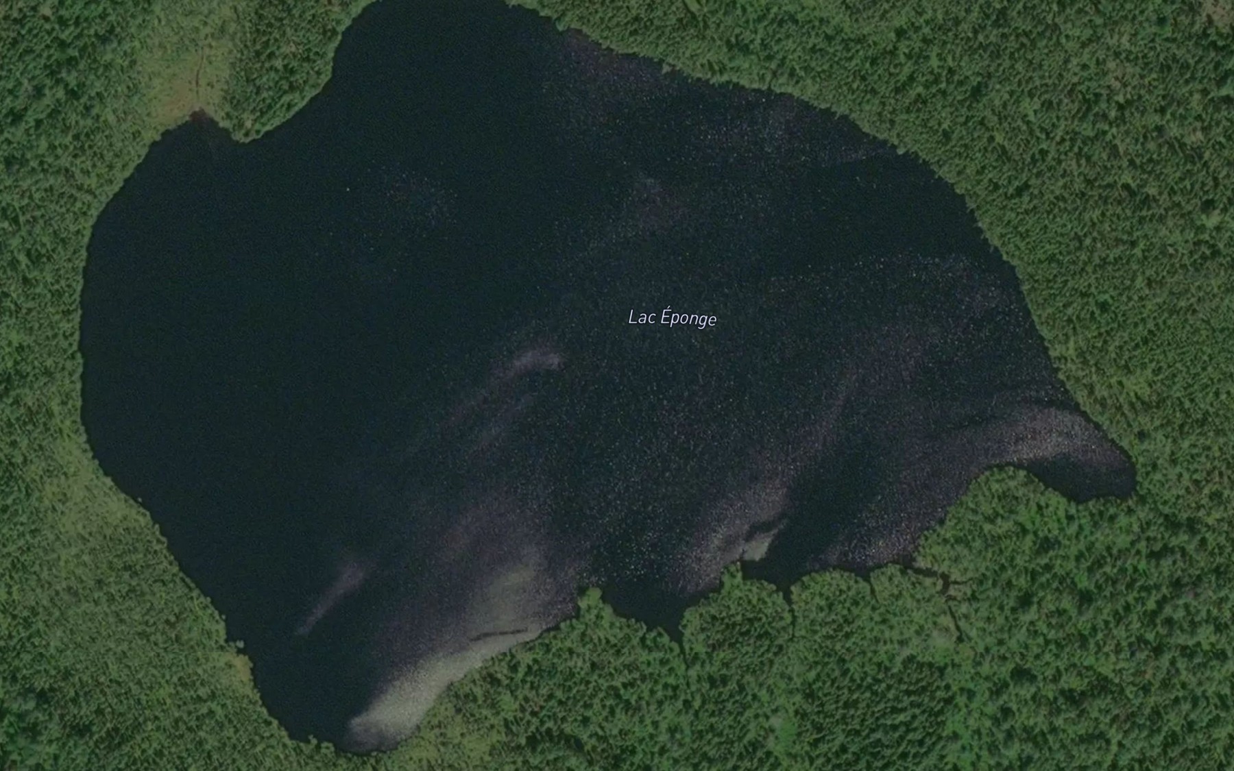 Satellite map of the Lac Eponge