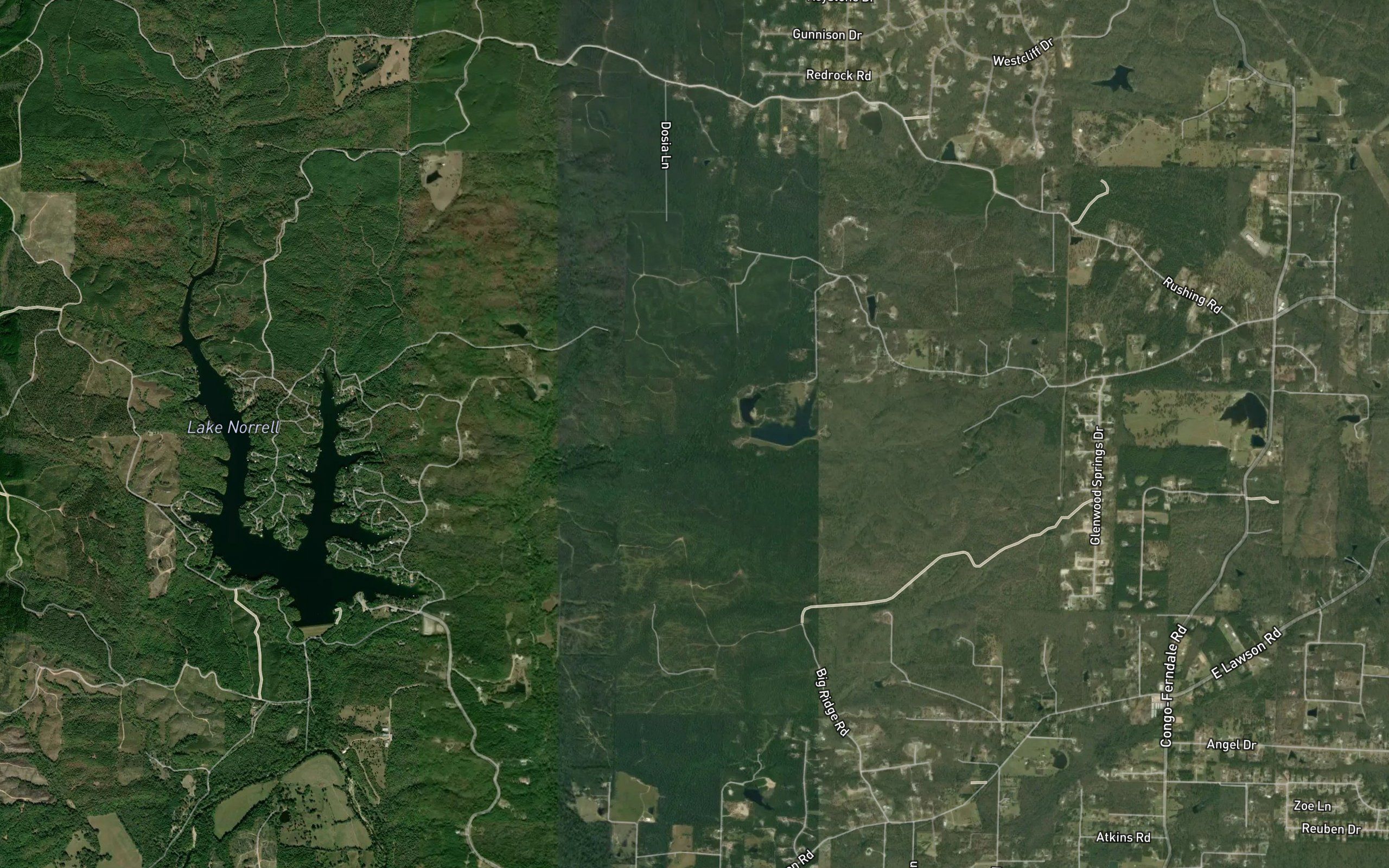 Moore Branch