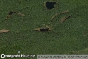 Mud Pond