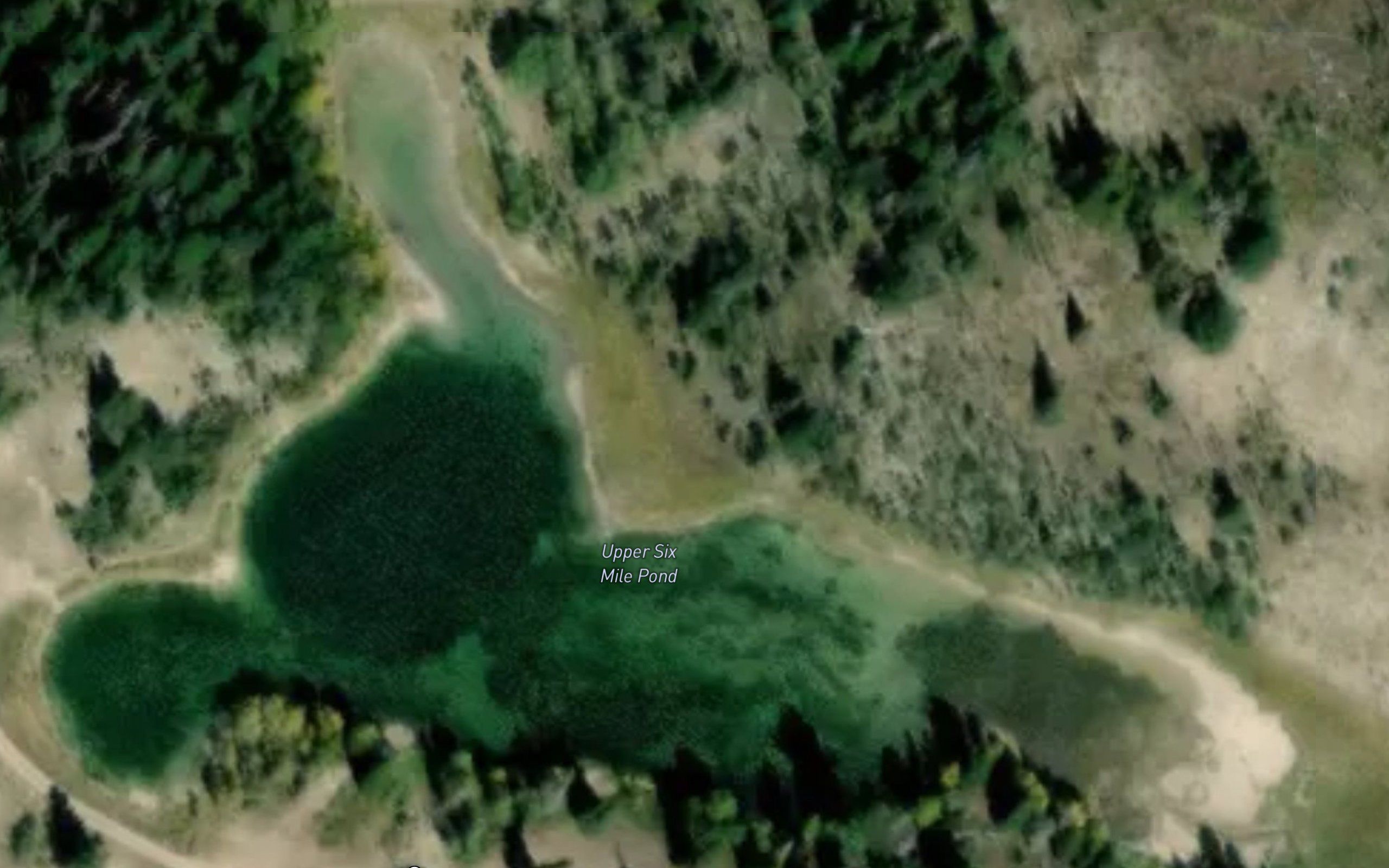 Upper Pond