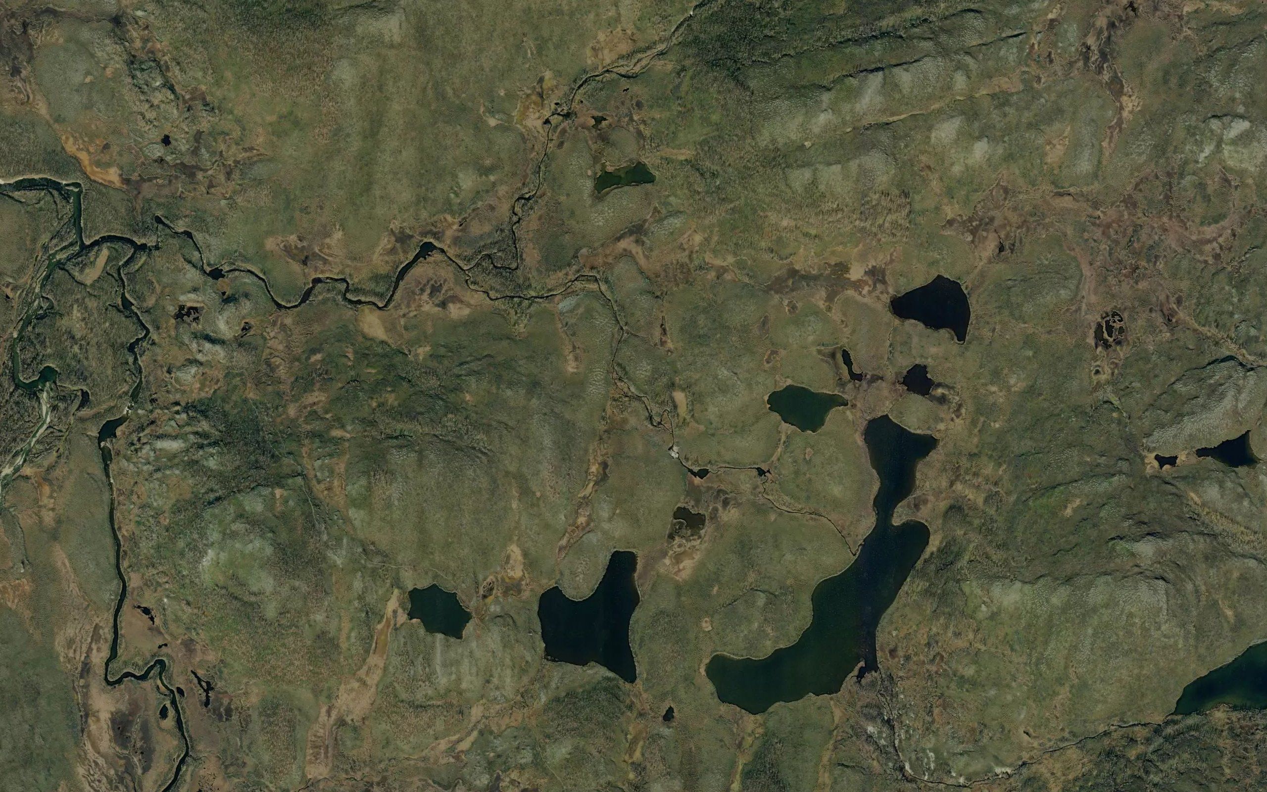 Gussajakka
