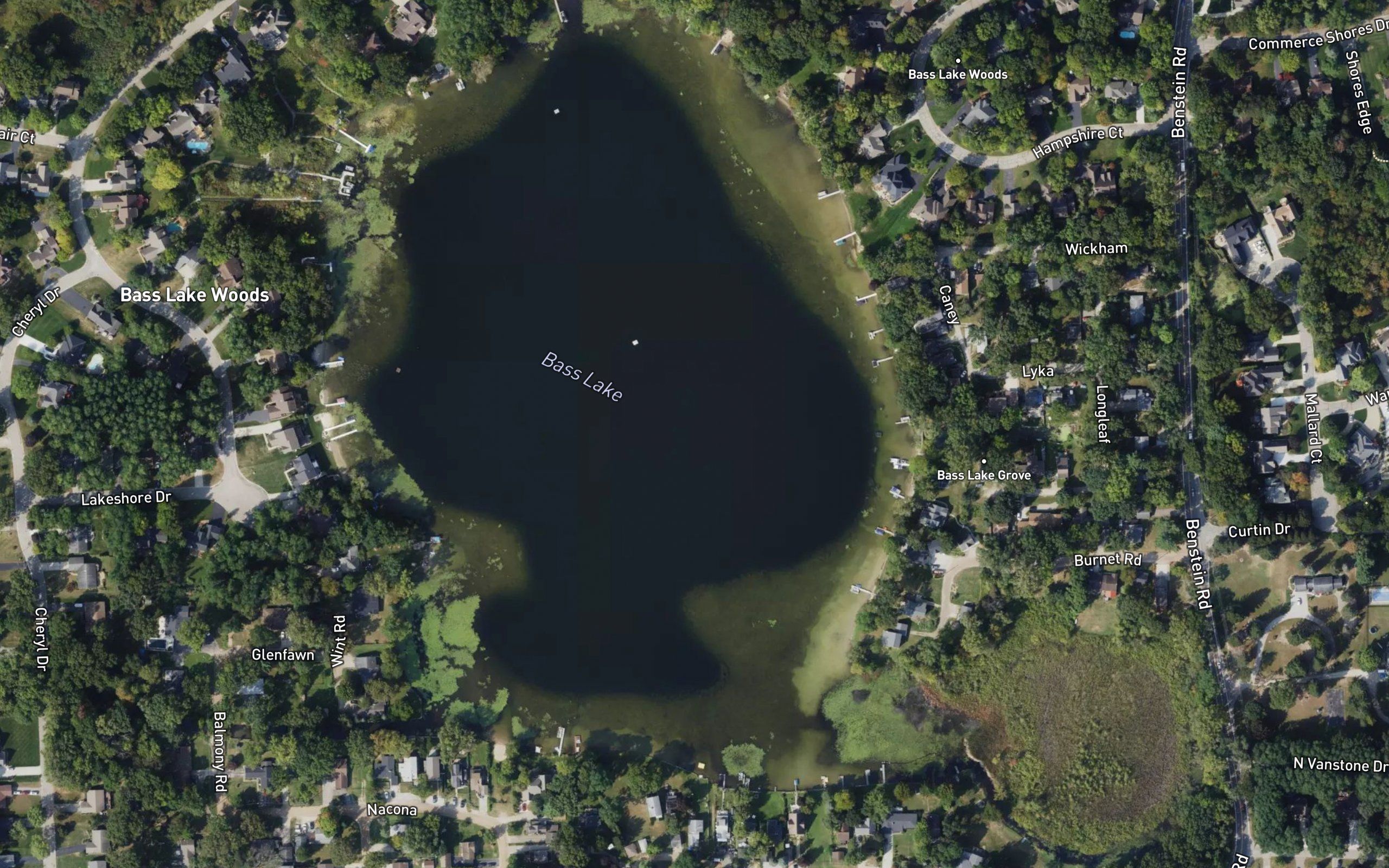 Bass Lake