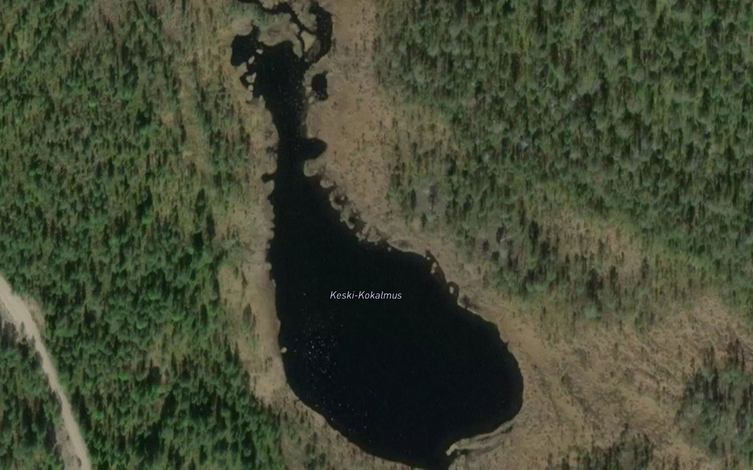 Keski-Kokalmus