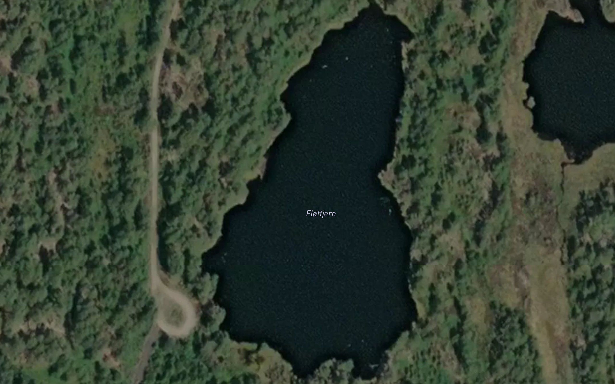 Flottjern