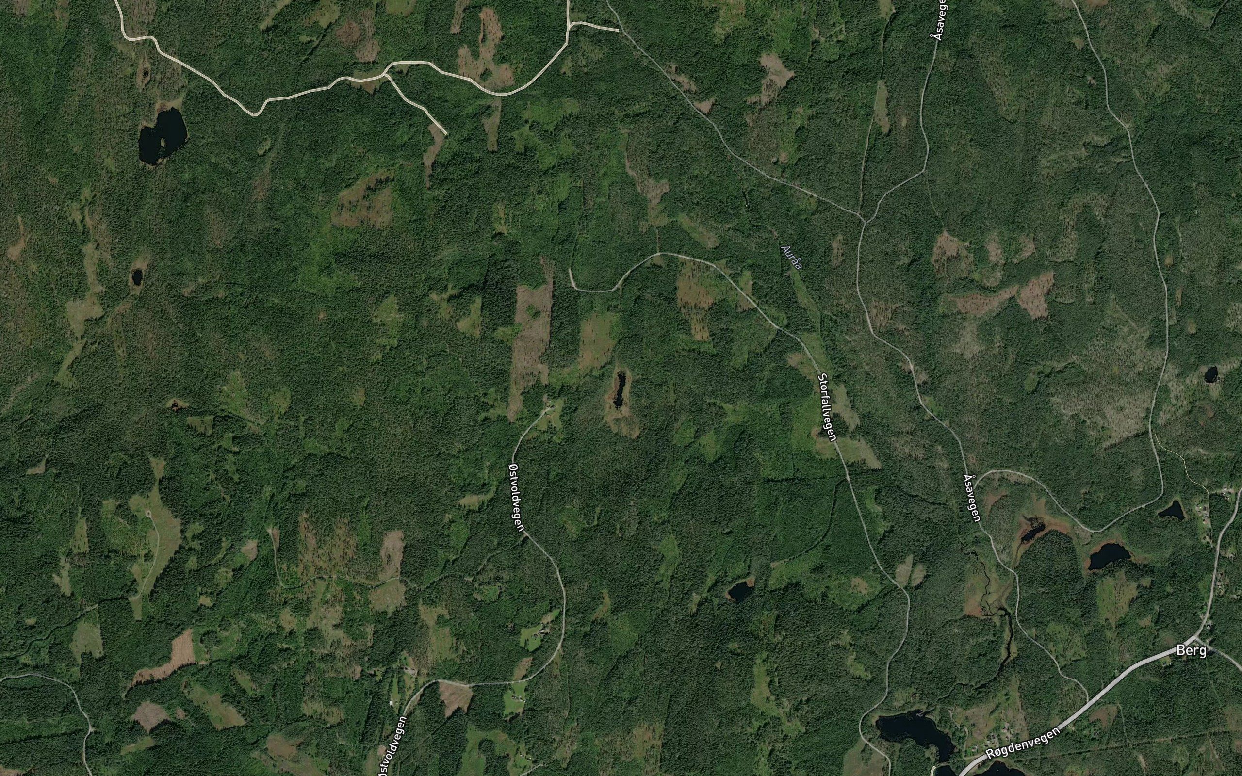 Skaltjennet