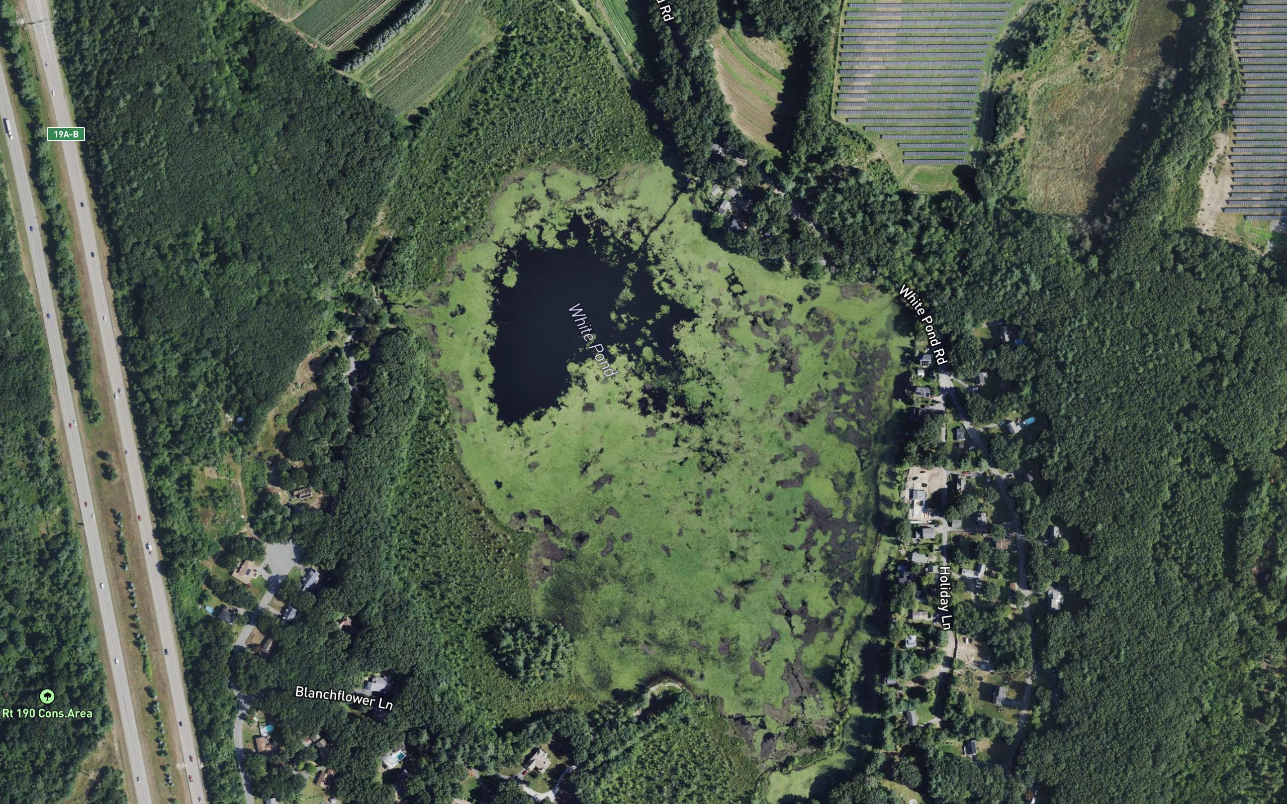 White Pond