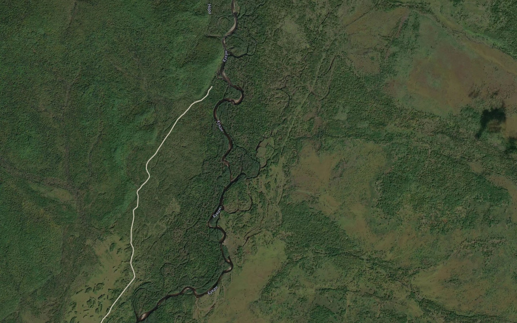 Satellite map of the Nizhnyaya Torokin'ya