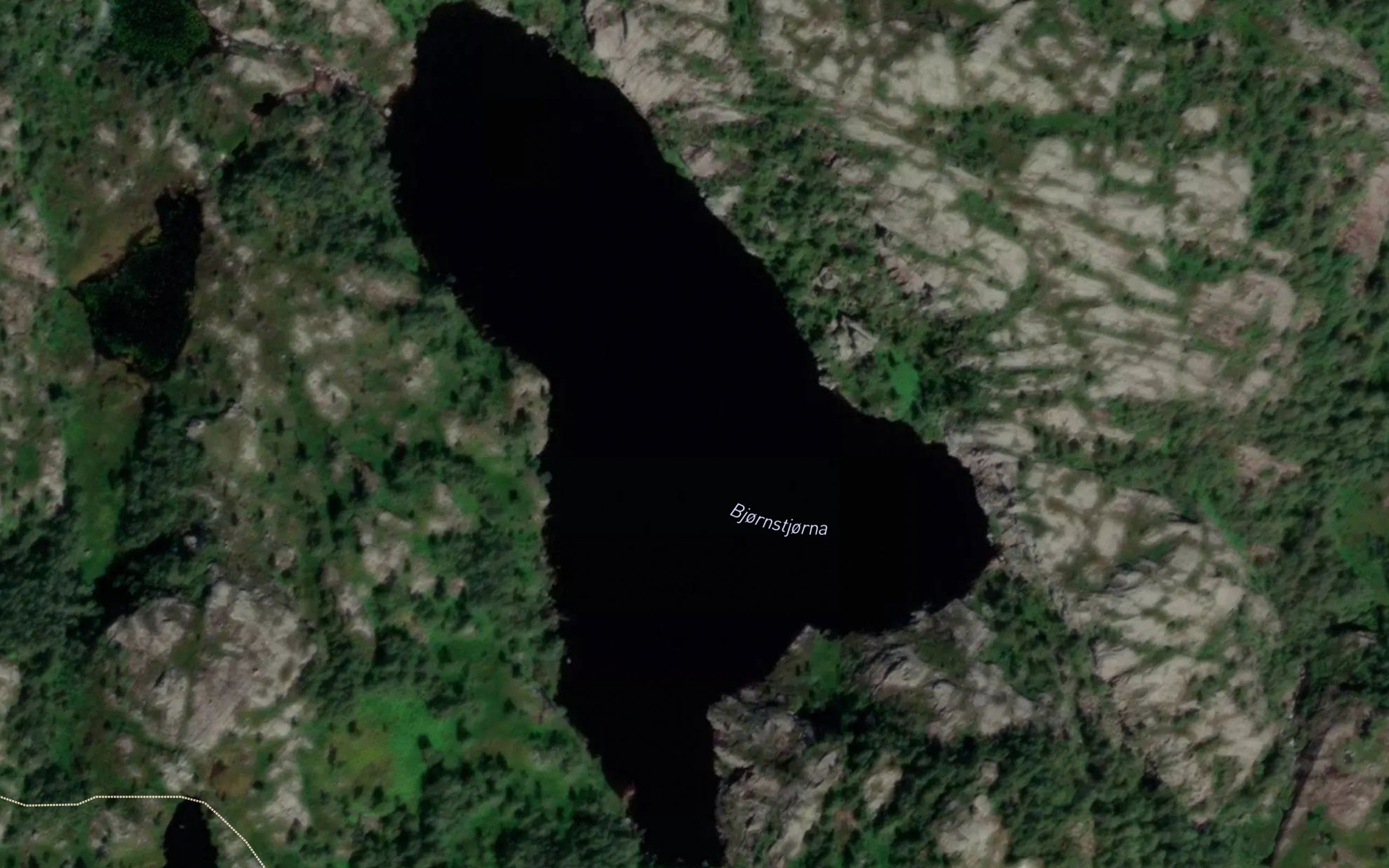 Bjonnstjorna