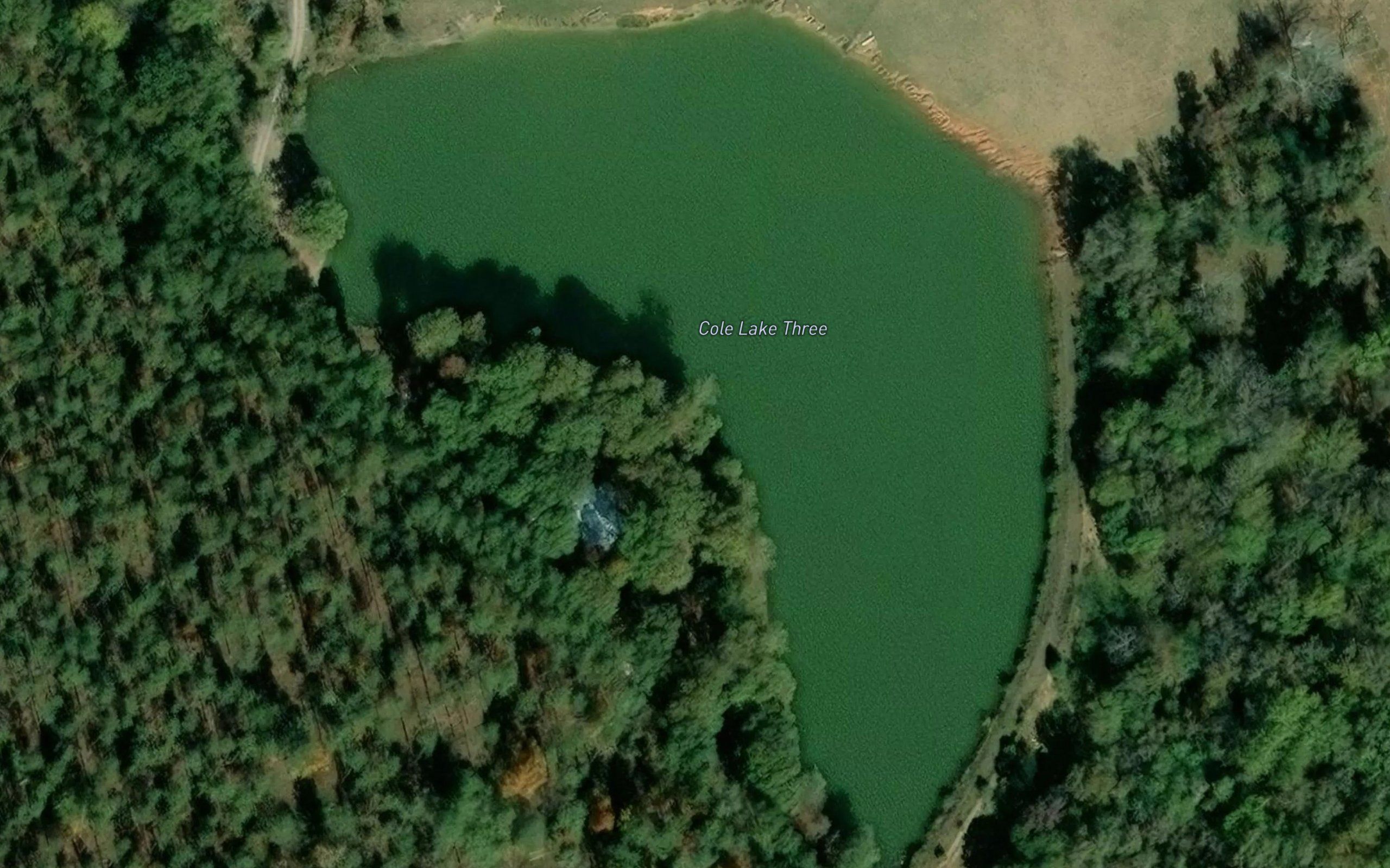 Cole Lake Three