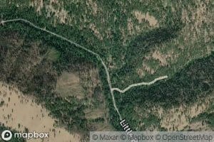 Burnt Saw Creek