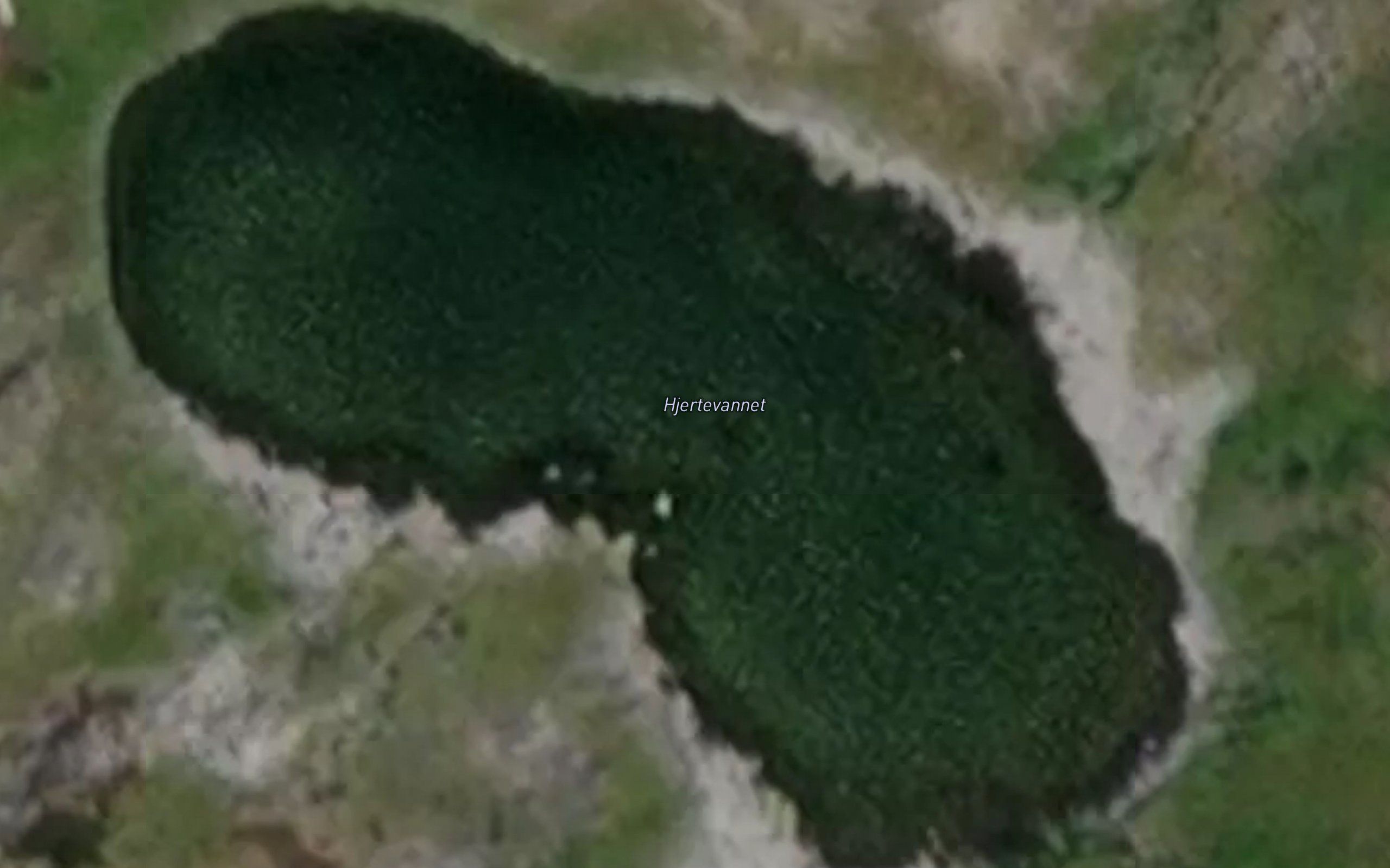 Hjertevatnet