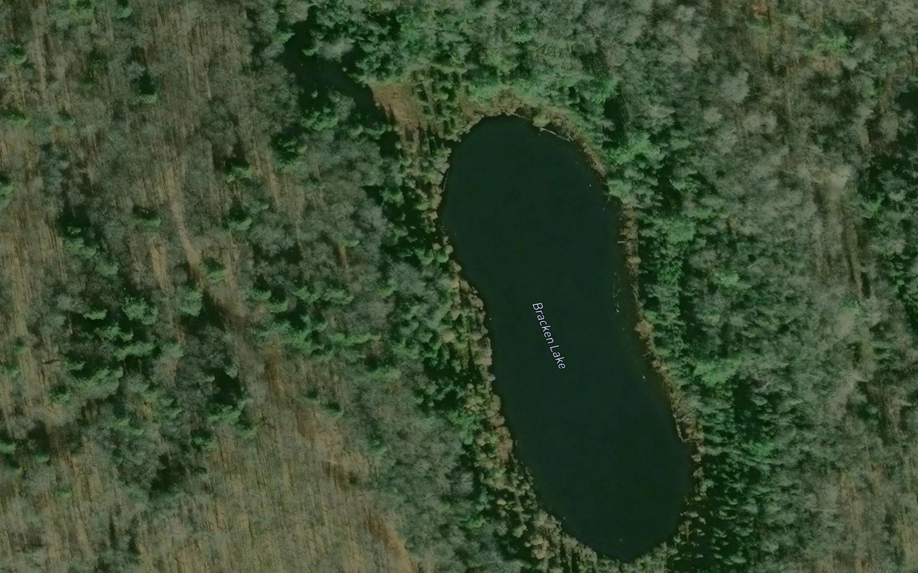 Satellite map of the Bracken Lake