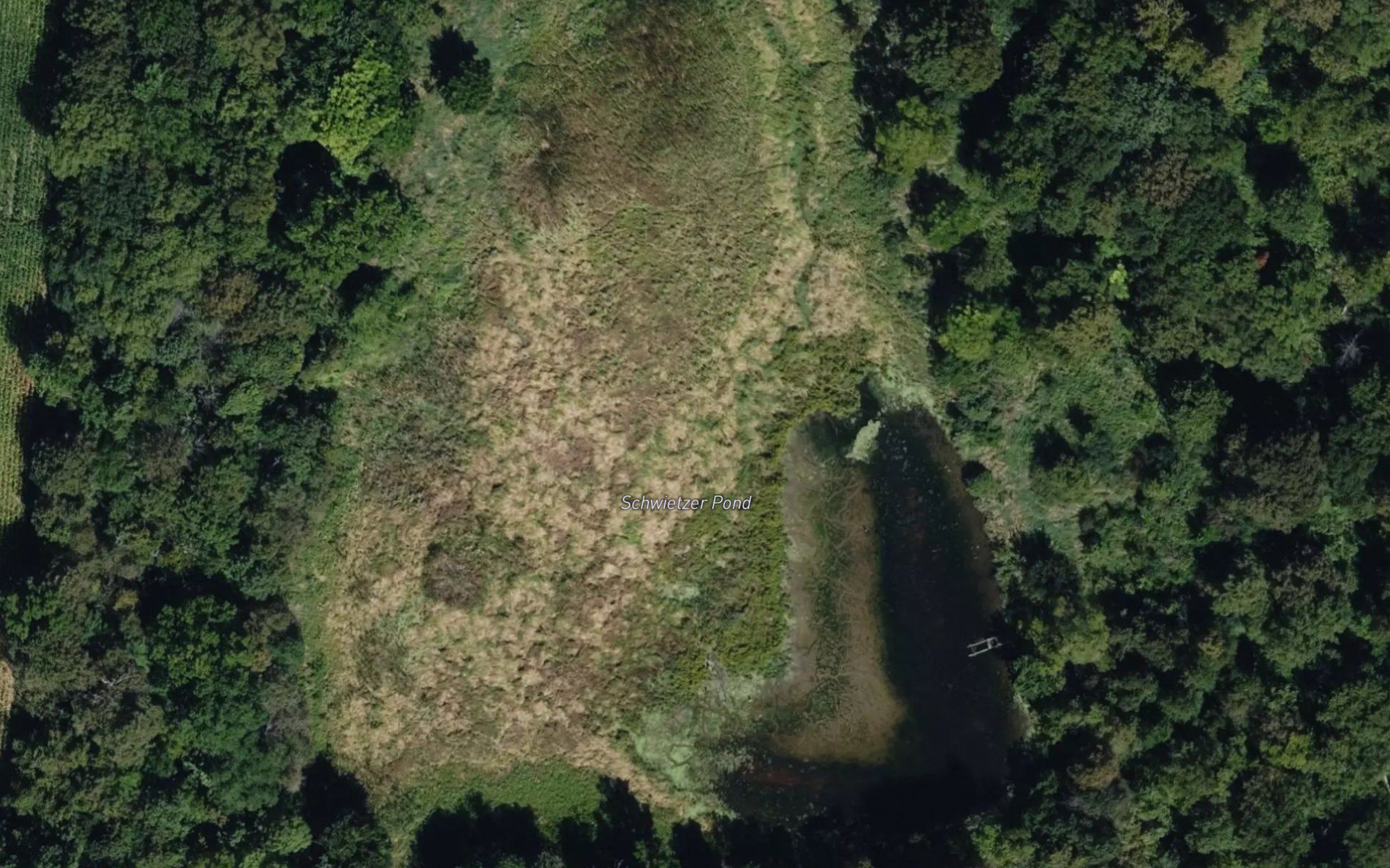 Schwietzer Pond