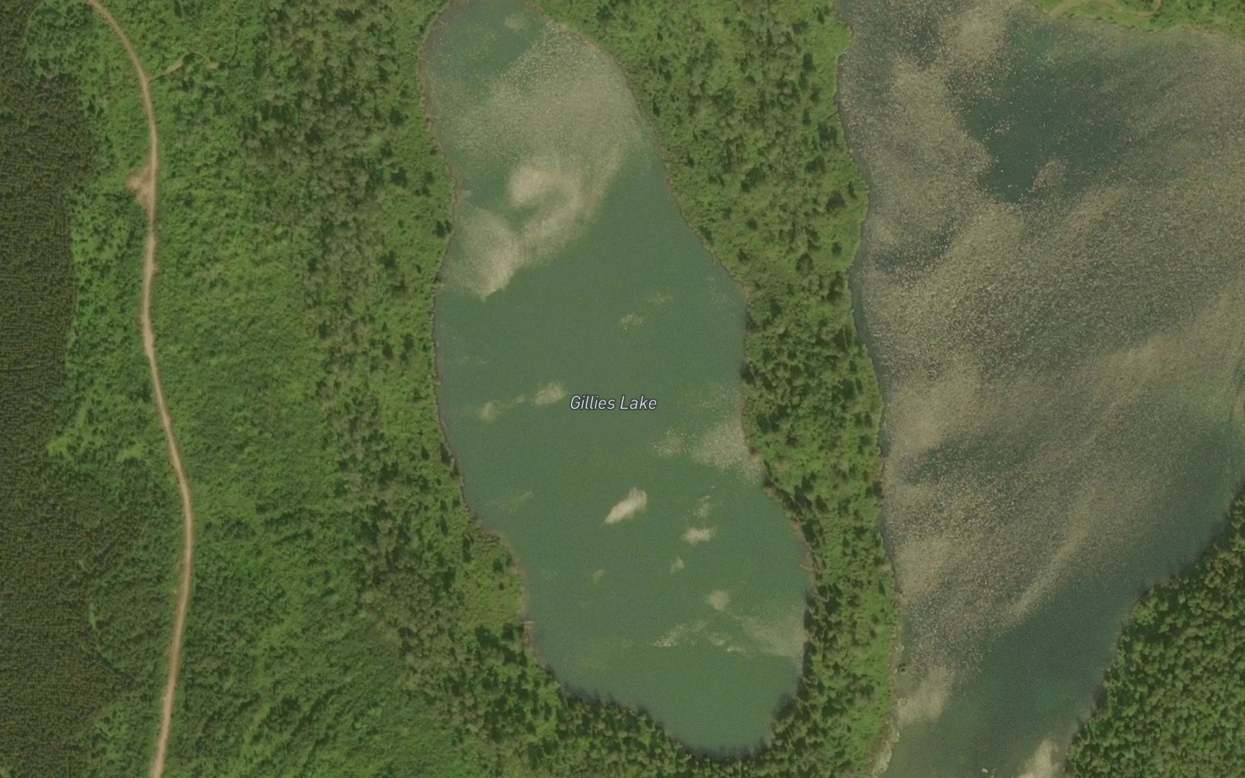 Satellite map of the Gillies Lake
