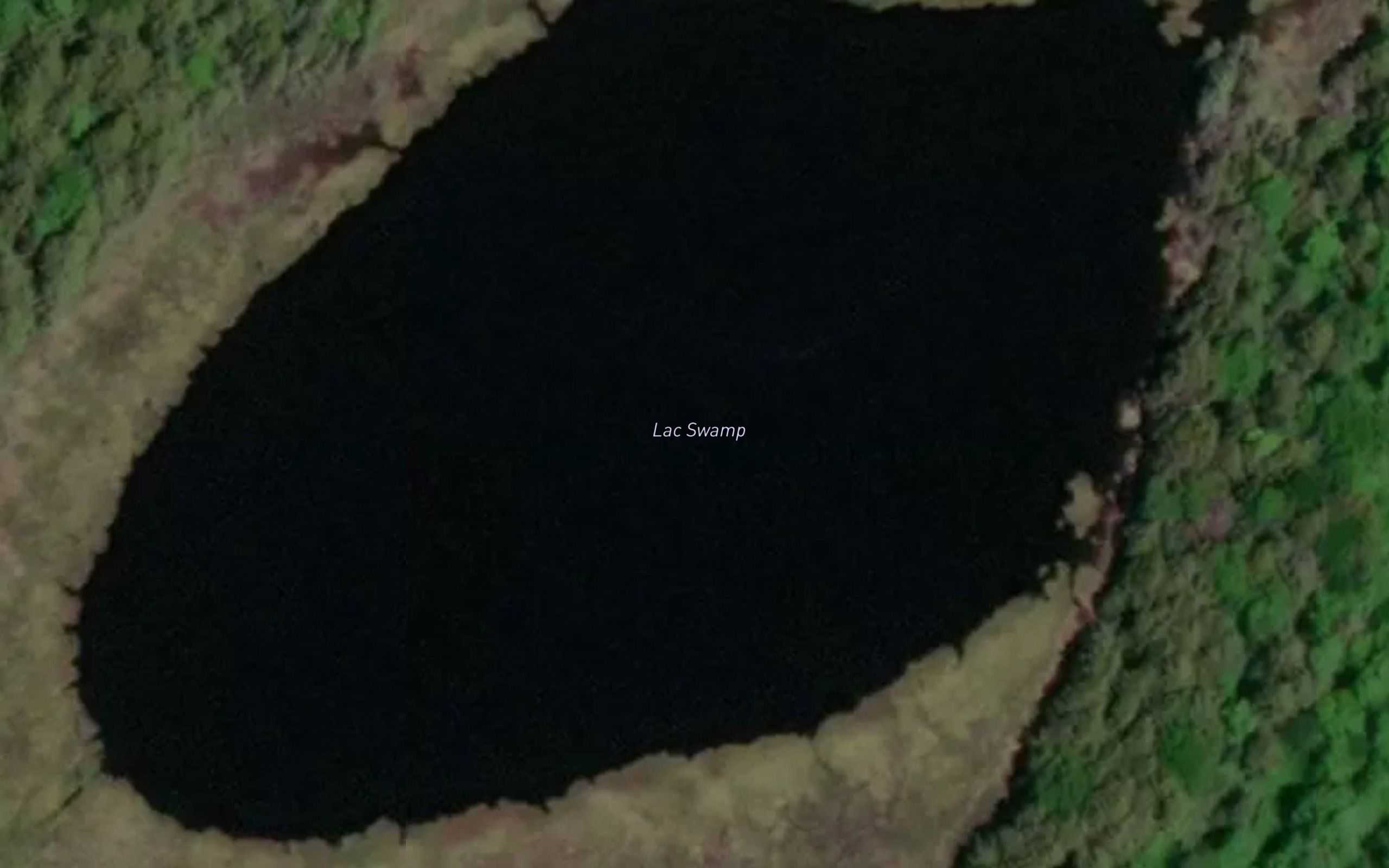 Lac Swamp