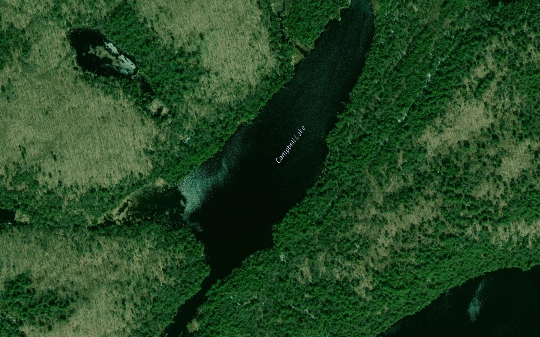 Satellite map of the Campbell Lake