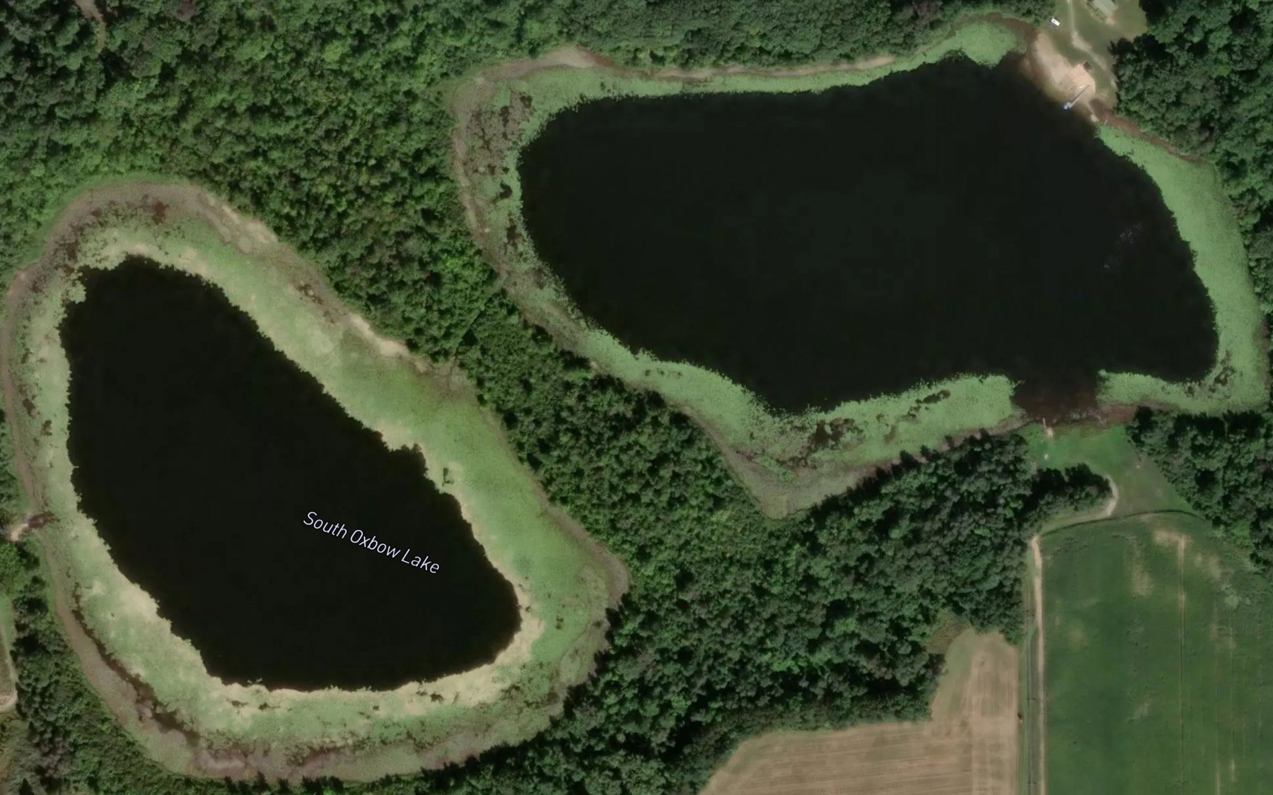 Satellite map of the South Oxbow Lake