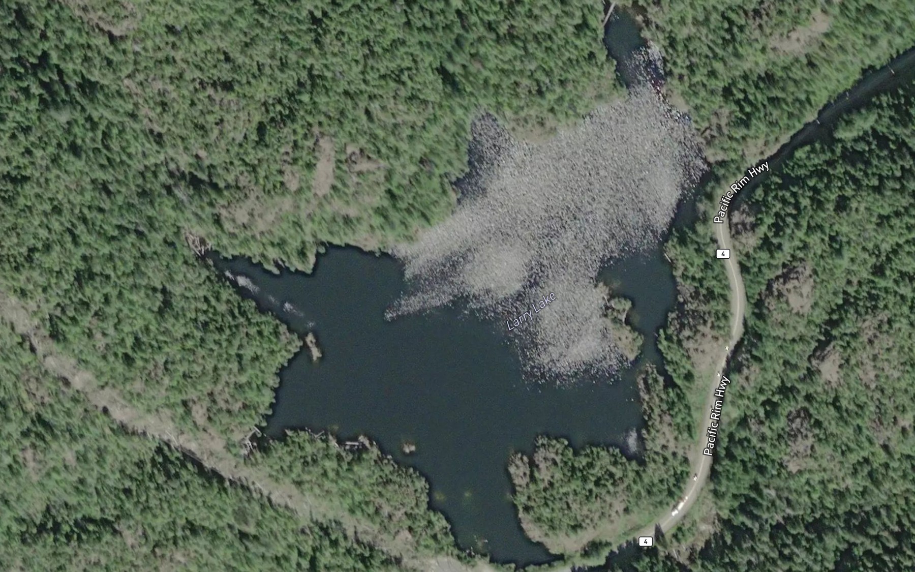 Satellite map of the Larry Lake