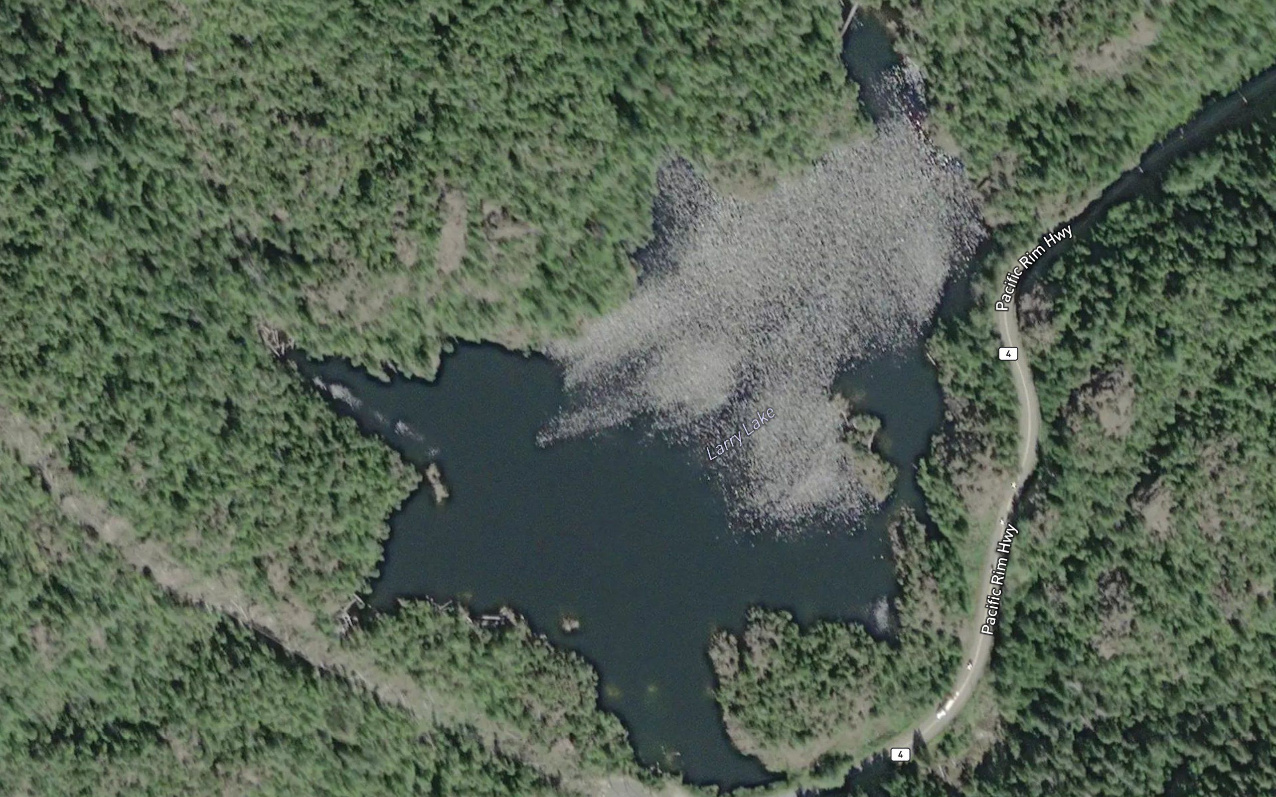 Larry Lake
