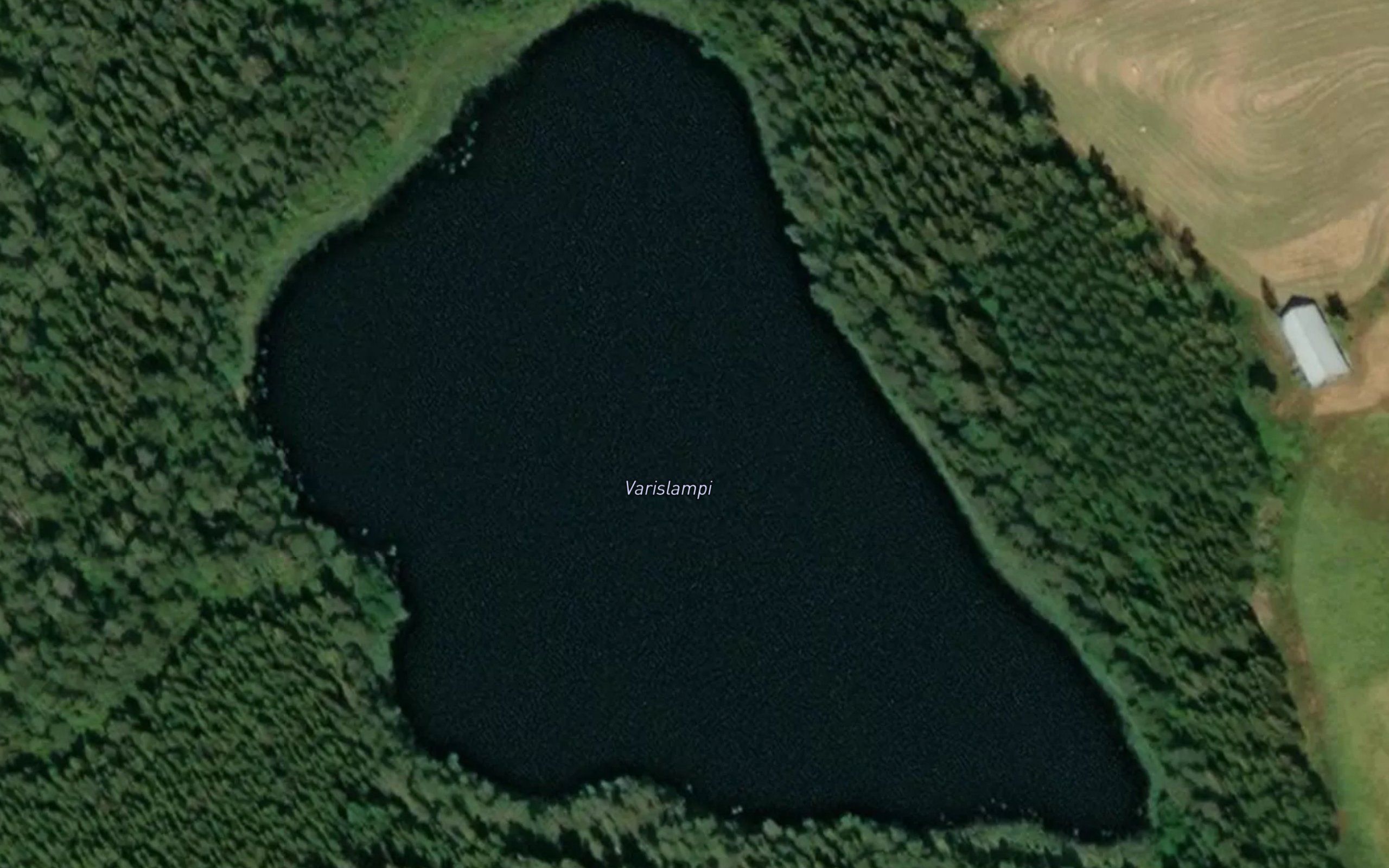 Varislampi
