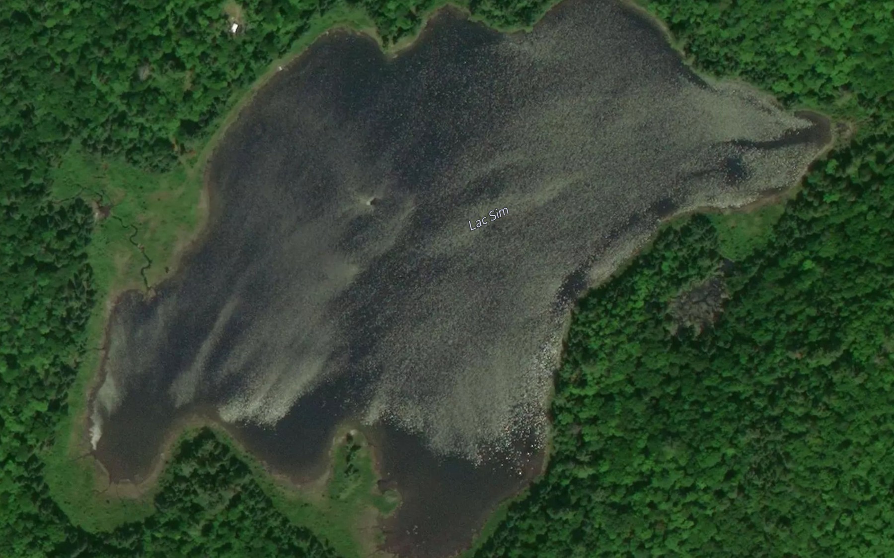 Satellite map of the Lac Sim