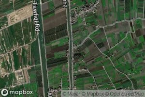 Tur`at al Qurunfiliyah