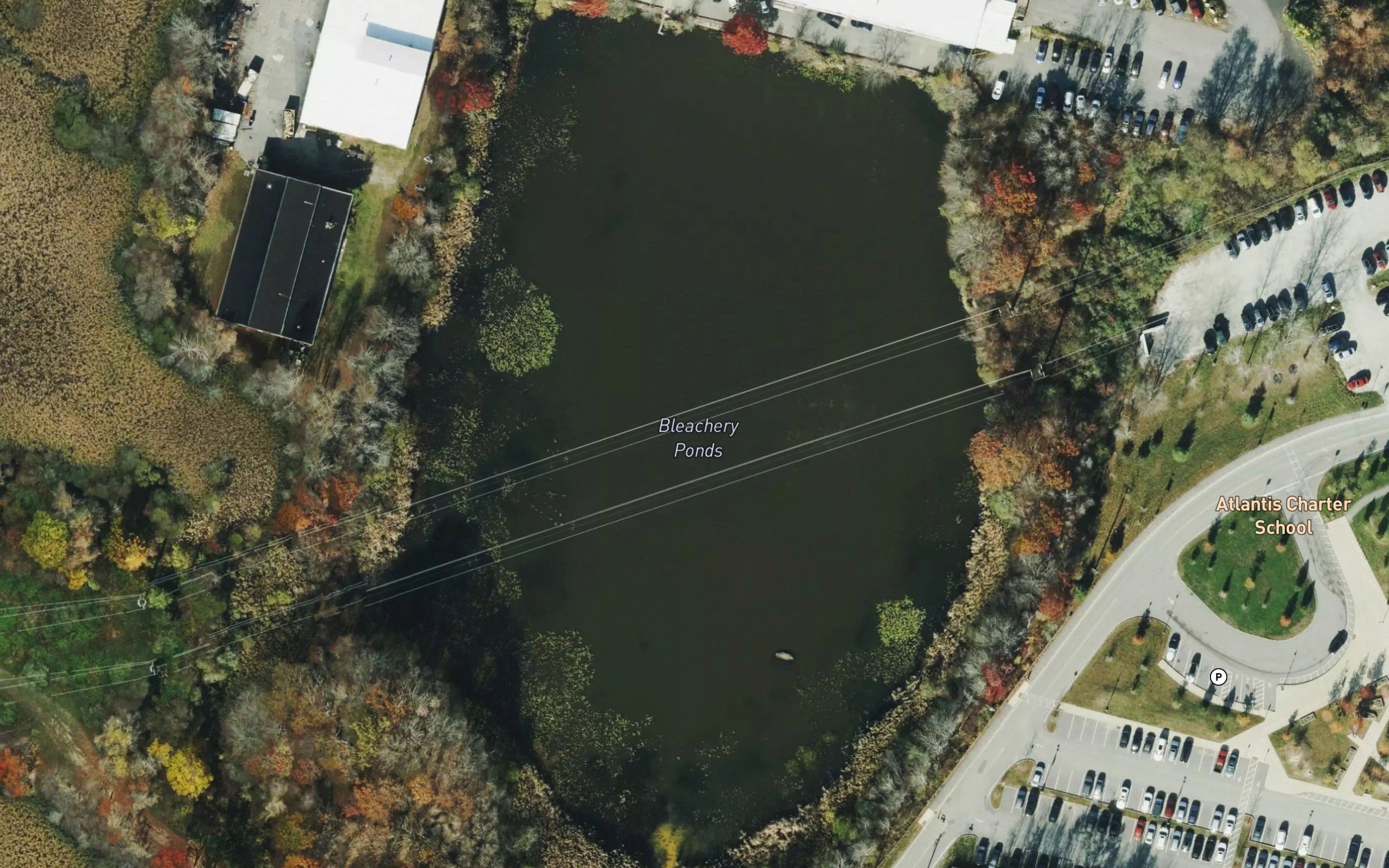 Bleachery Ponds