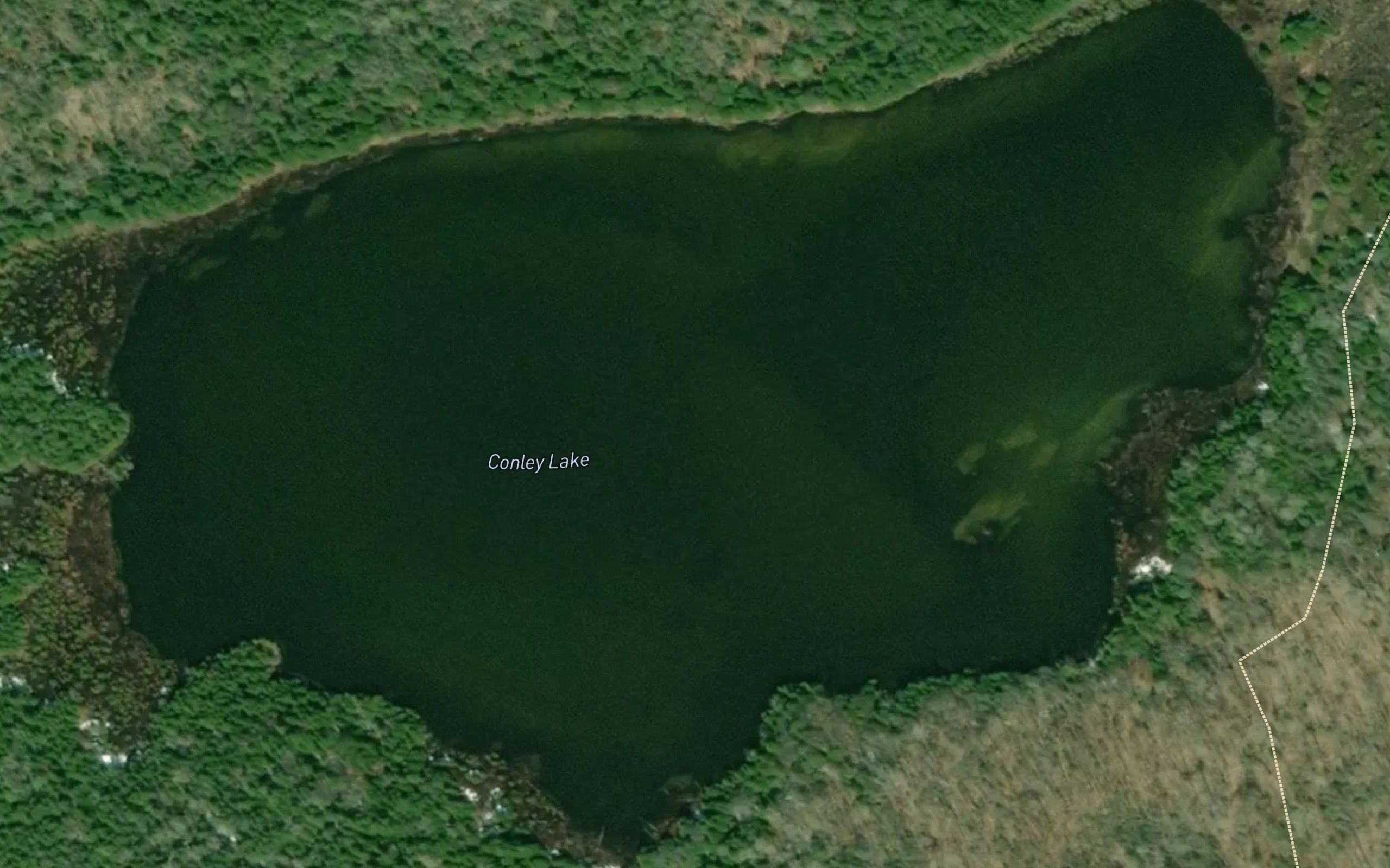 Conley Lake