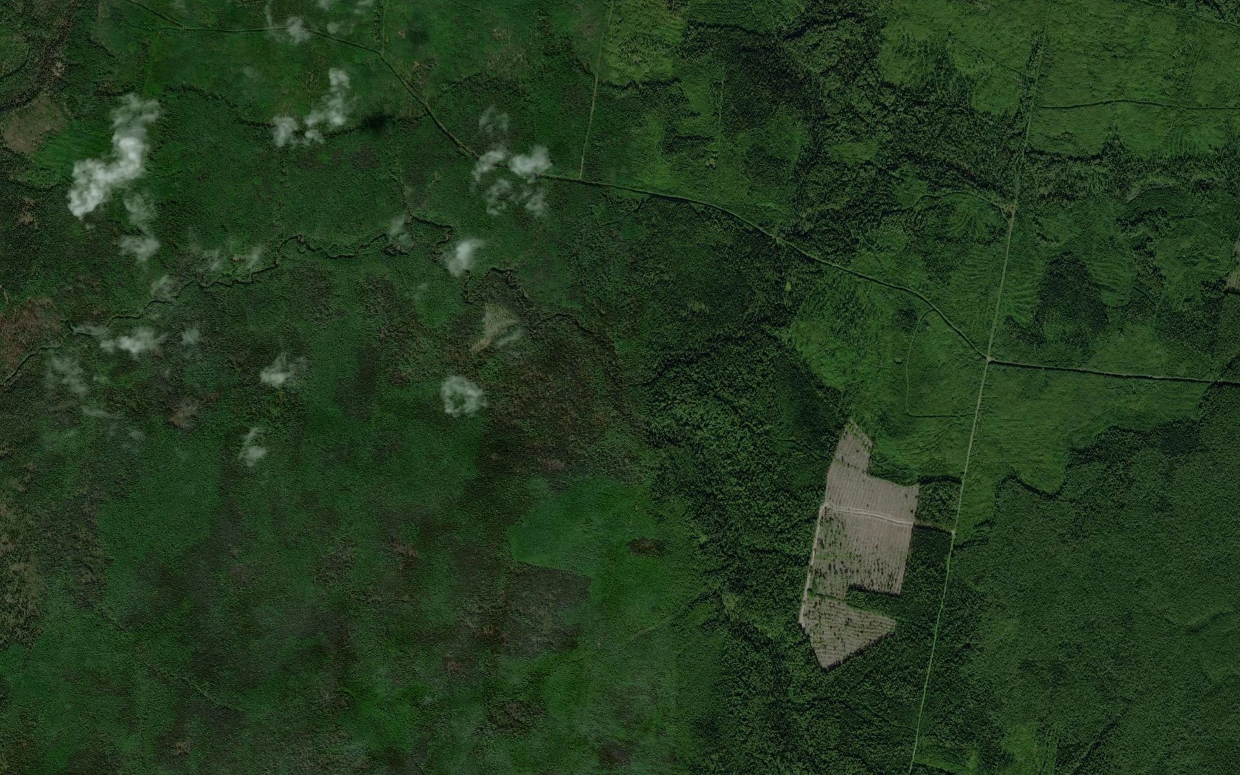 Satellite map of the Dingul'
