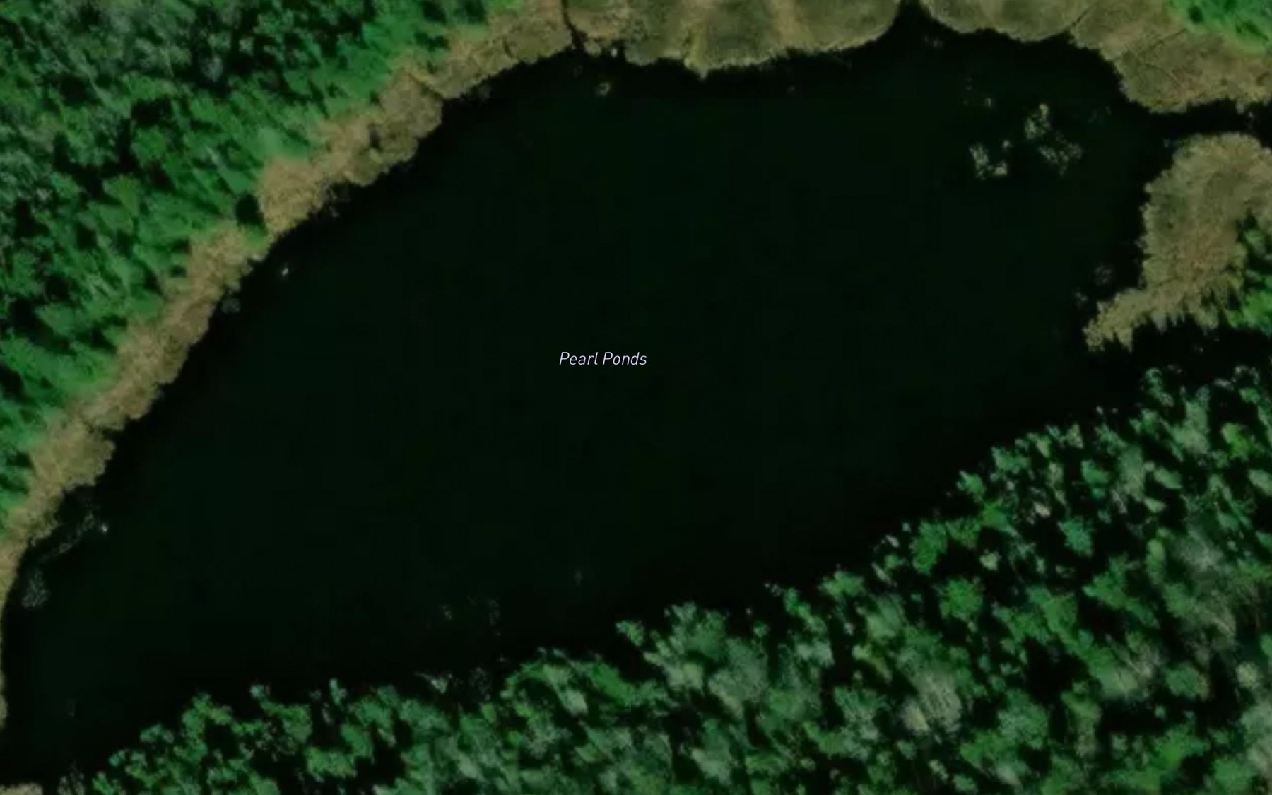 Satellite map of the Pearl Ponds