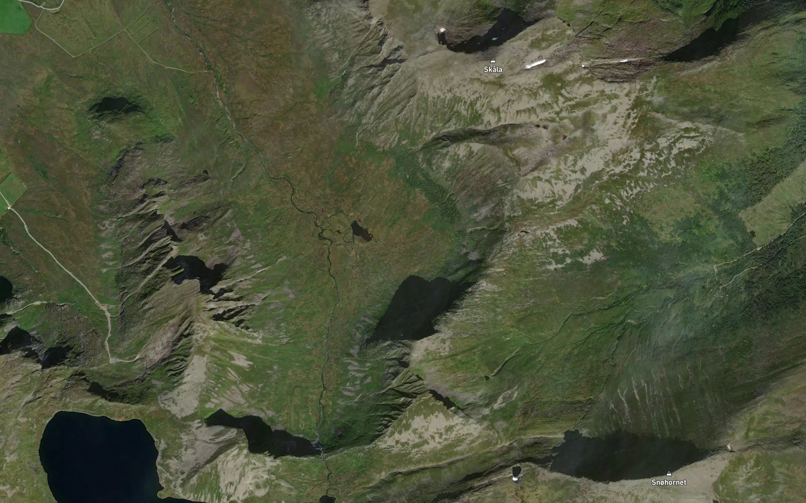 Joleskarelva