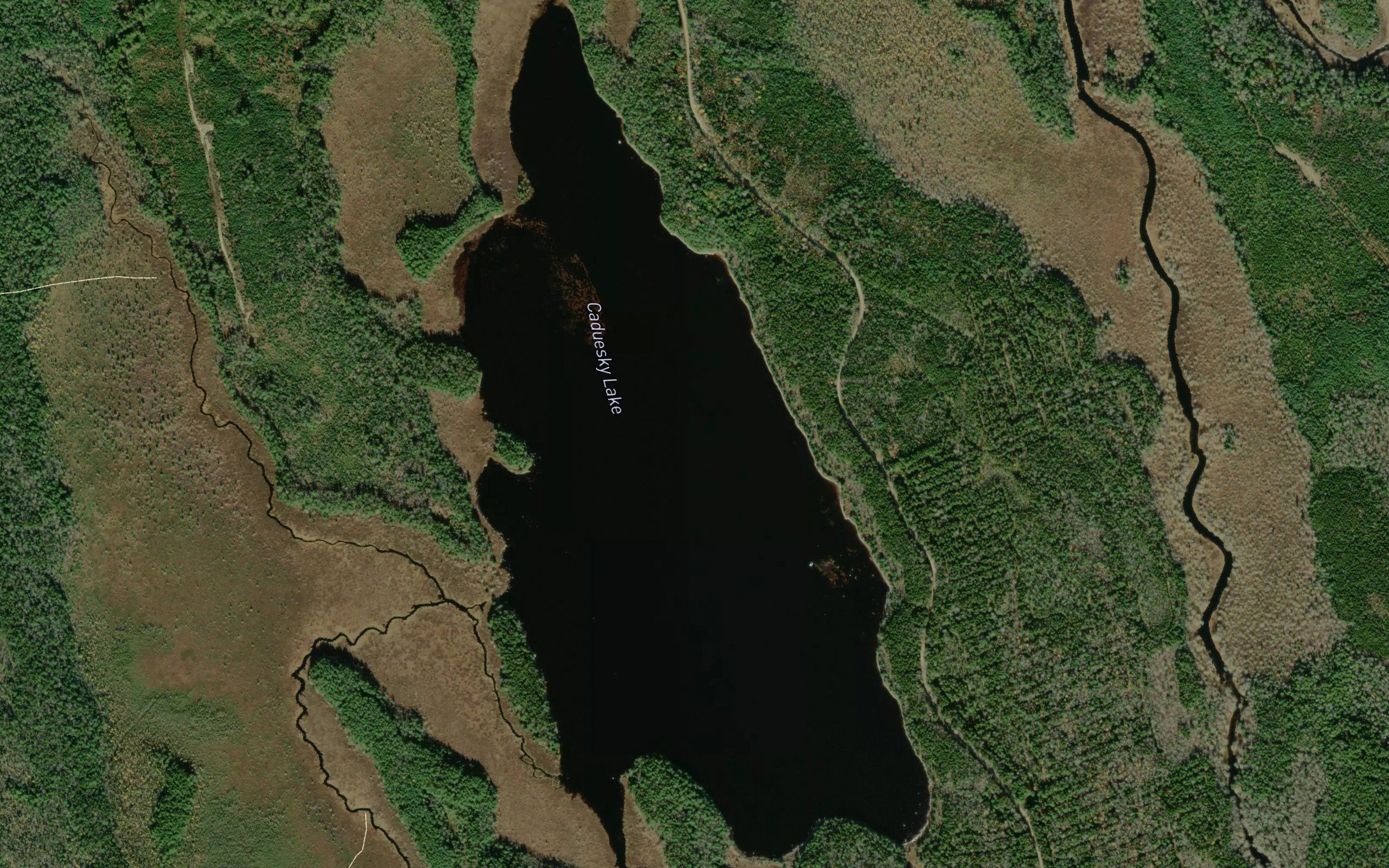 Caduesky Lake