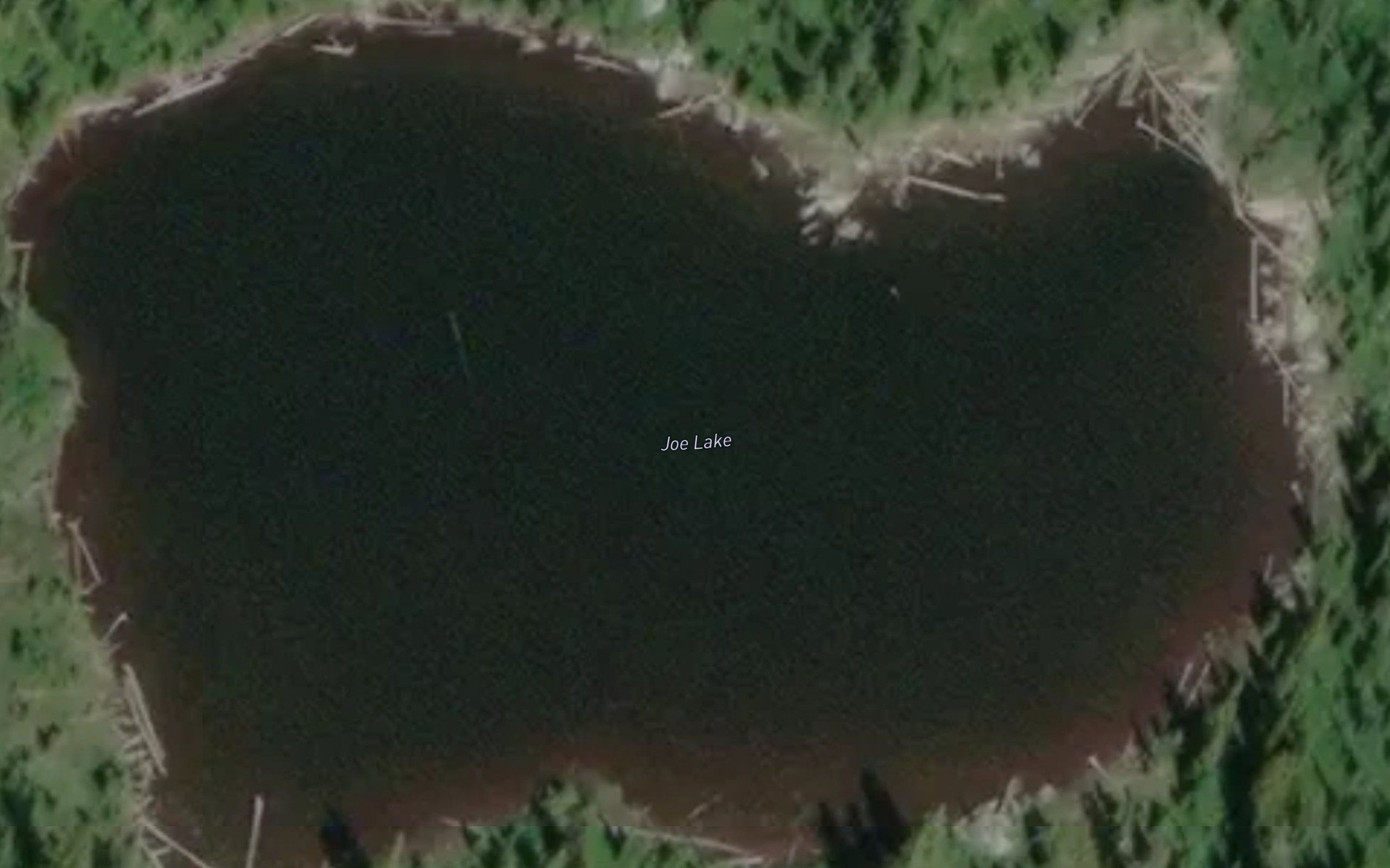 Joe Lake