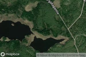 Bergoflagan
