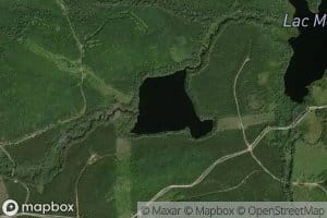 Lac Wolf