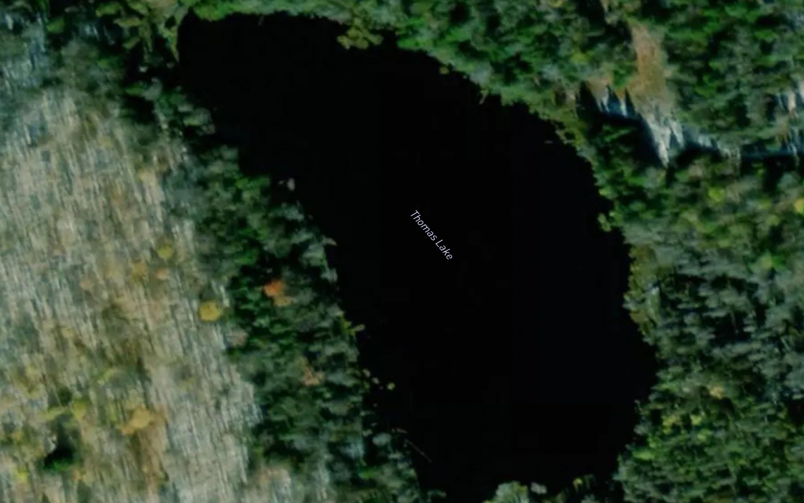 Thomas Lake