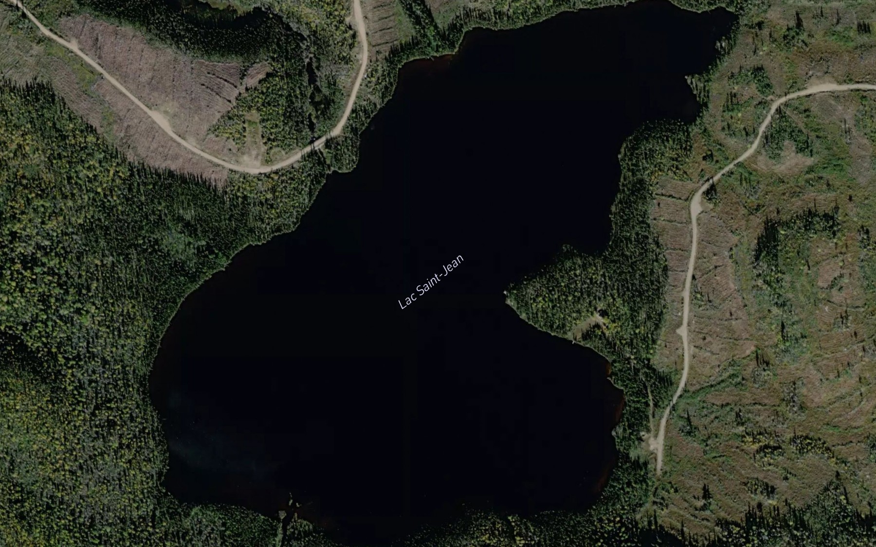 Satellite map of the Lac Saint-Jean